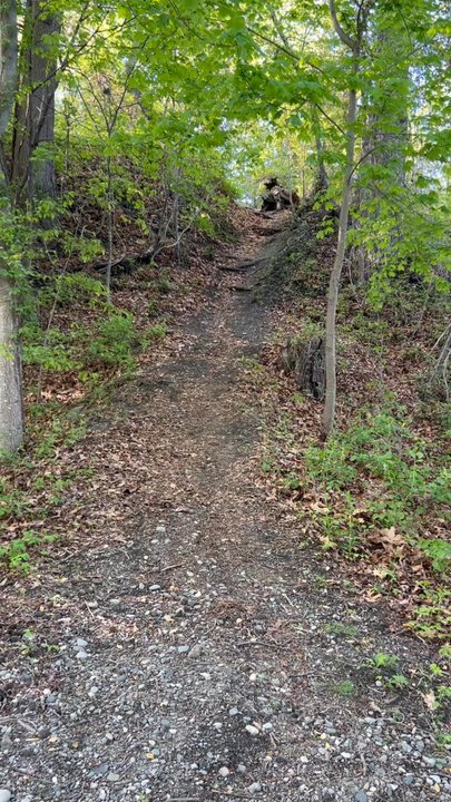 Roger Williams Park - When I jog I run up this hill - Parks Near Me - Providence, Rhode Island
