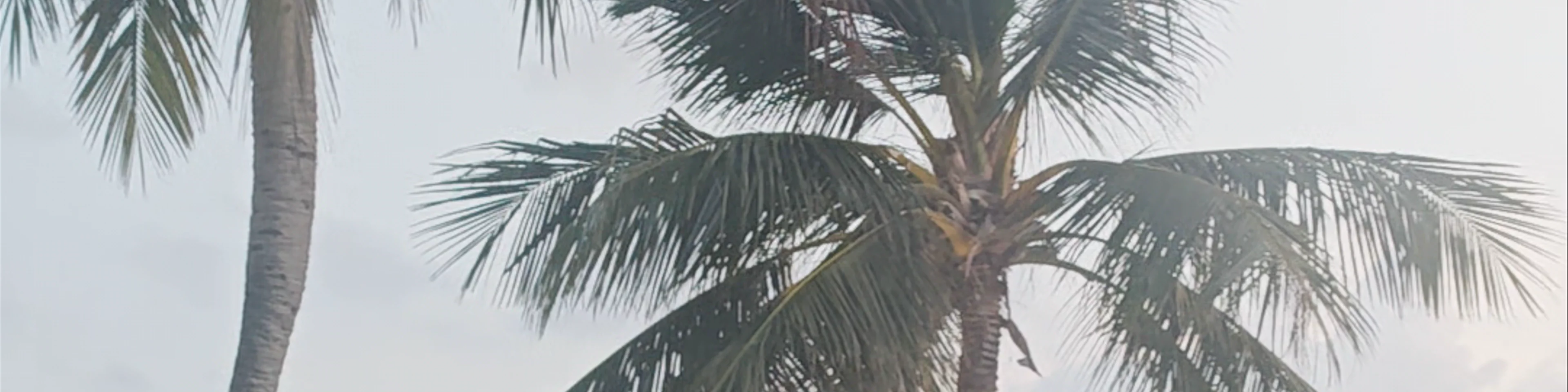 Raffles Maldives Meradhoo Resort