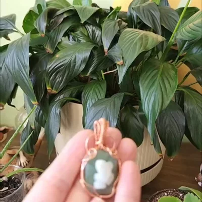 Preview image for video