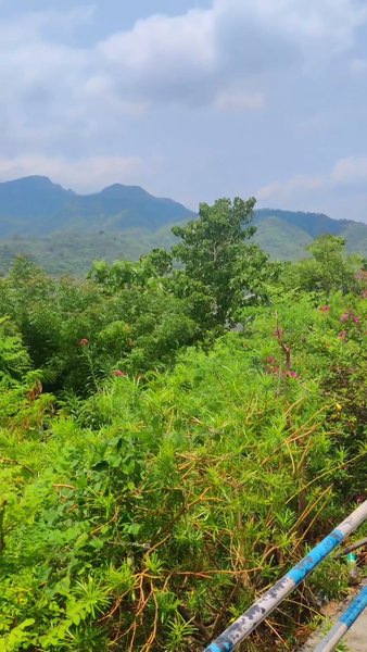 Photo of #SardarSarovarDam #S