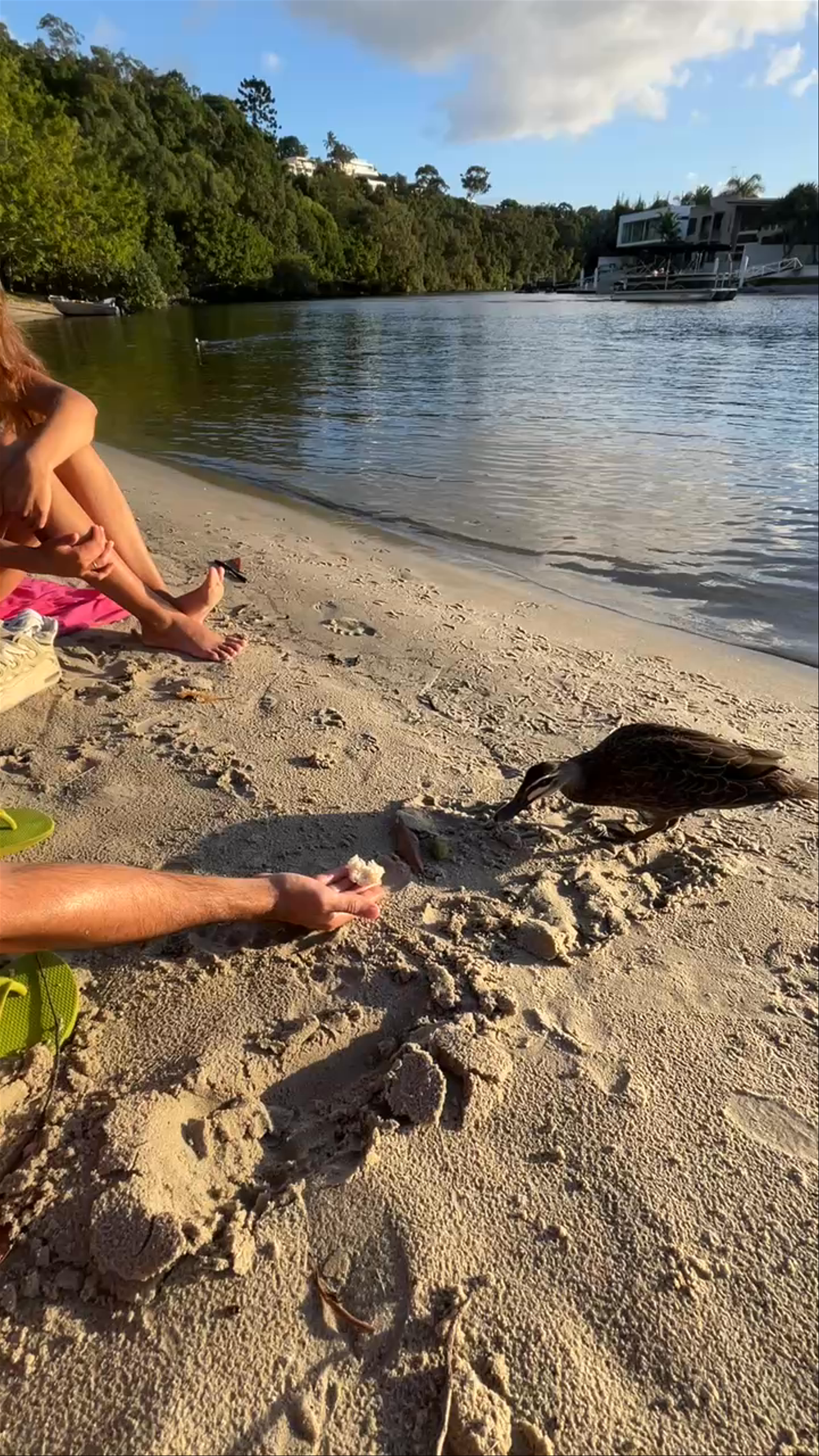 Lions Park Noosa Heads