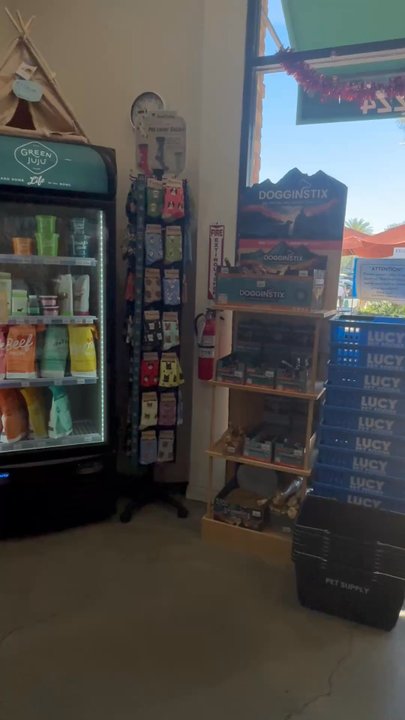Pet Supply - Canny and Kat were amazing and super knowledgeable! Locations clean and cute! Definitely recommend and I will be coming back! - Pet Stores Near Me - Irvine, California