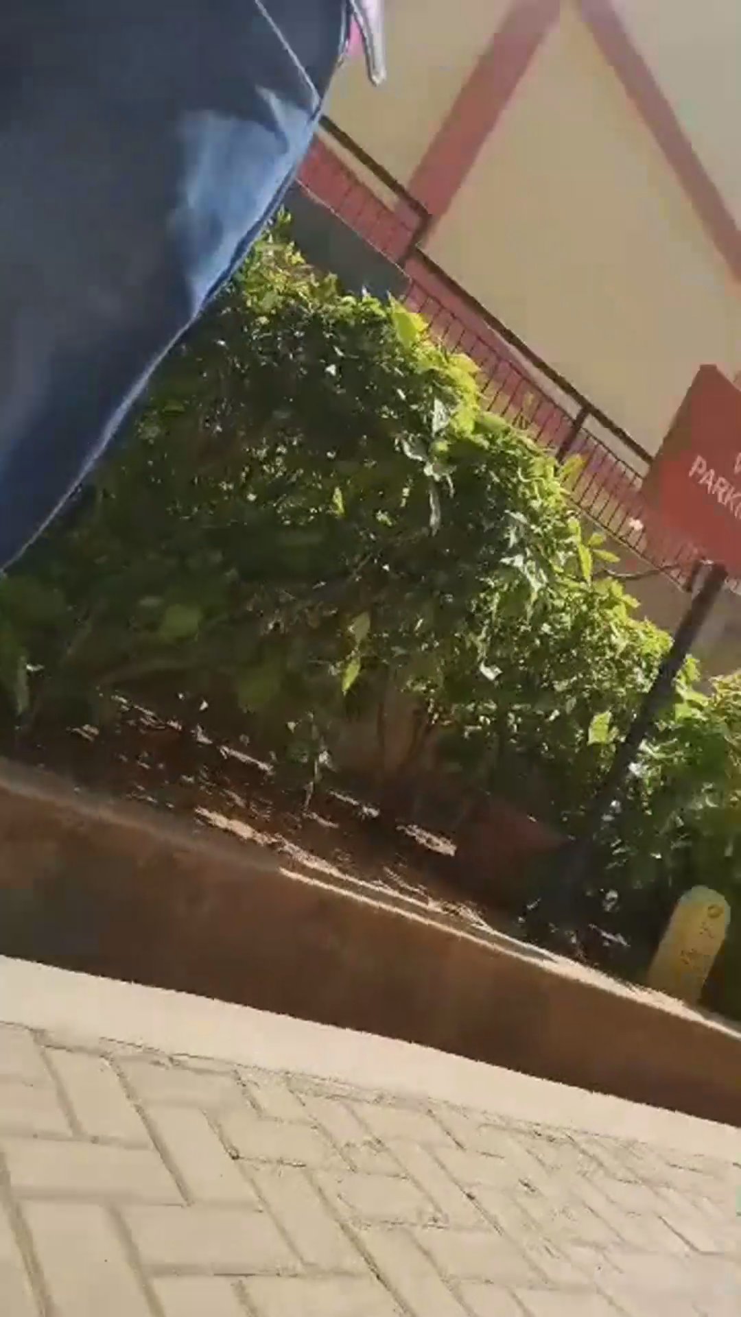 Walk-around video thumbnail