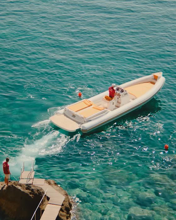 il pellicano video