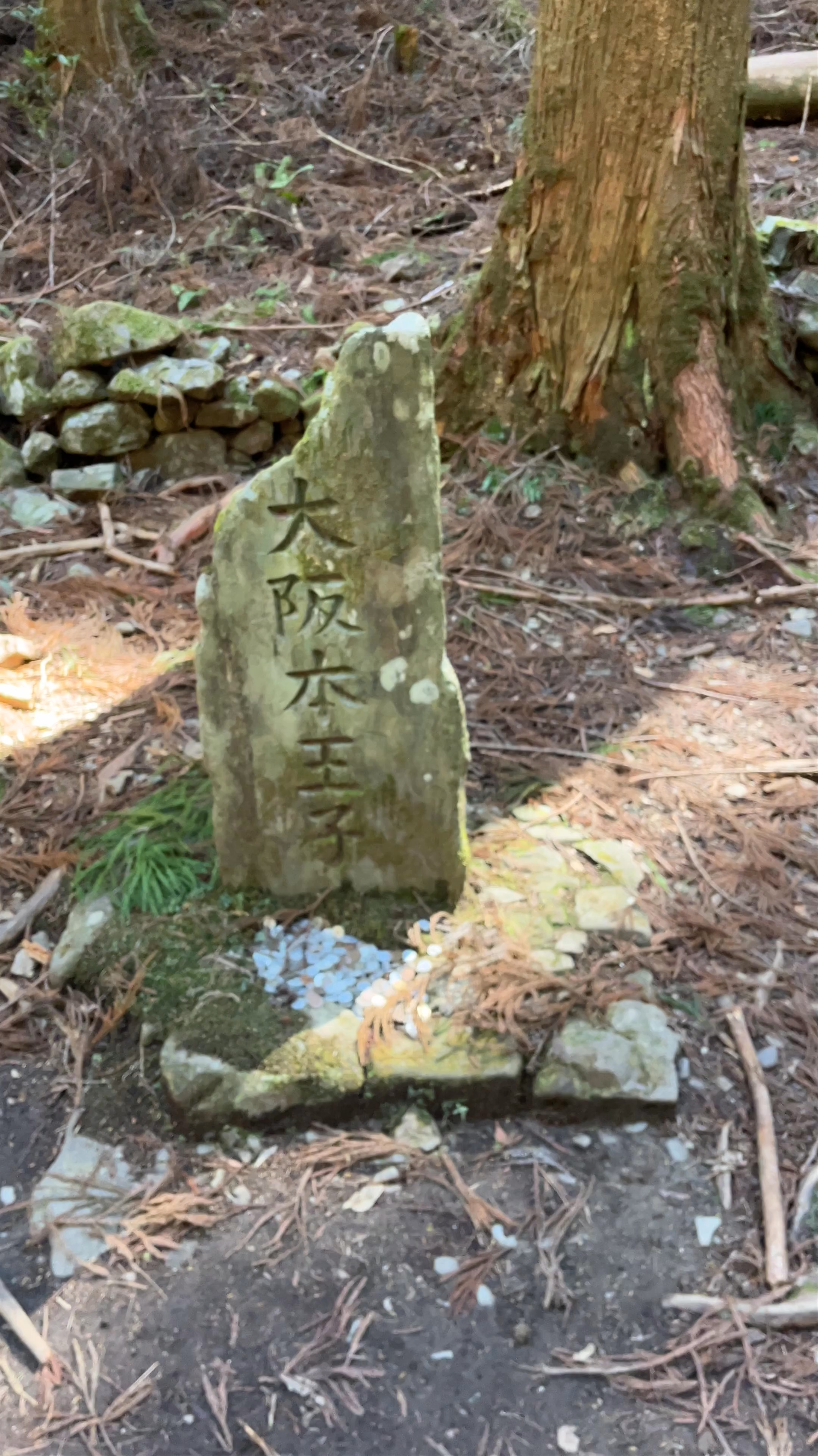 中邊路：09 大坂本王子 Osakamoto-Oji Remains