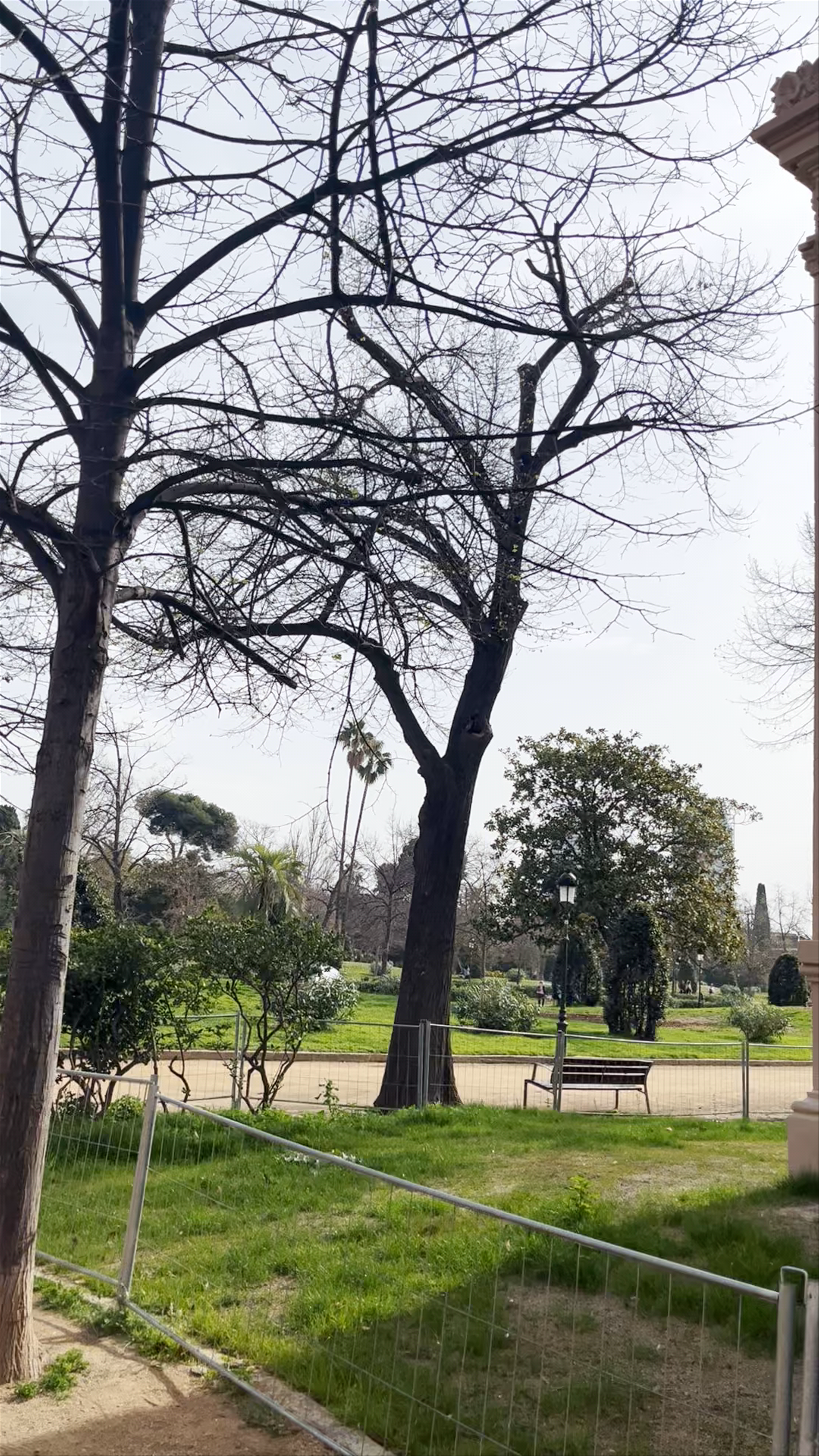 Invernadero del Parque de la Ciutadella: A Serene Botanical Oasis in Barcelona