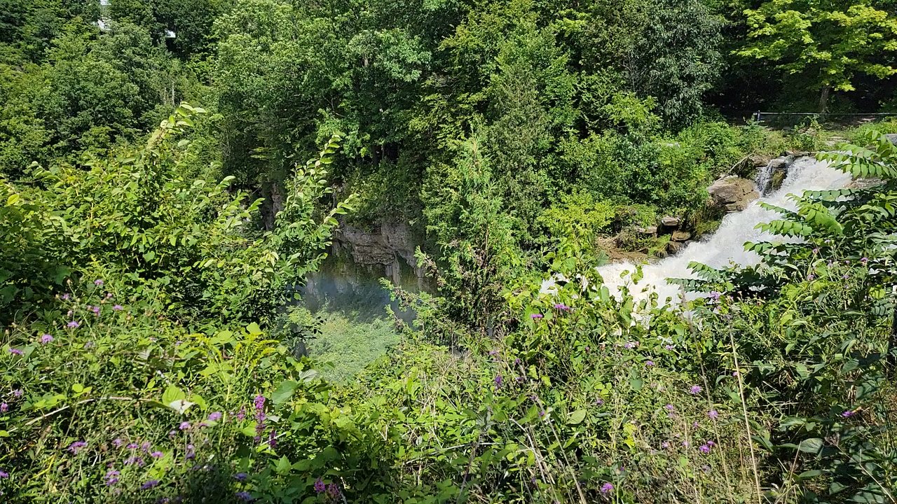 Chittenango Falls State Park - Parks Near Me - Cazenovia, New York