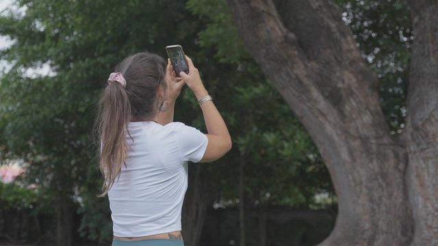 Taking photos of a tree in a park