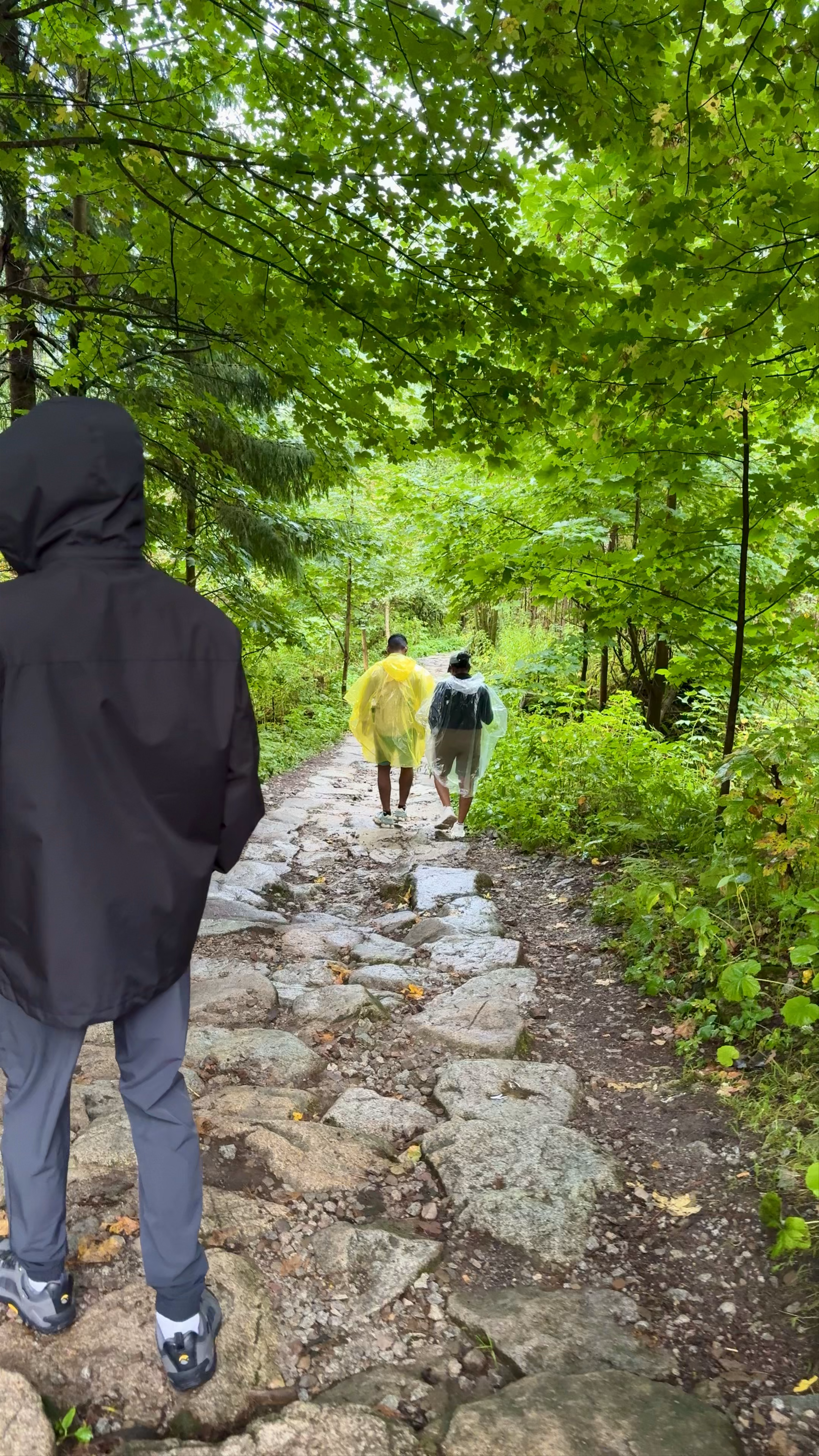 Wodogrzmoty Mickiewicza