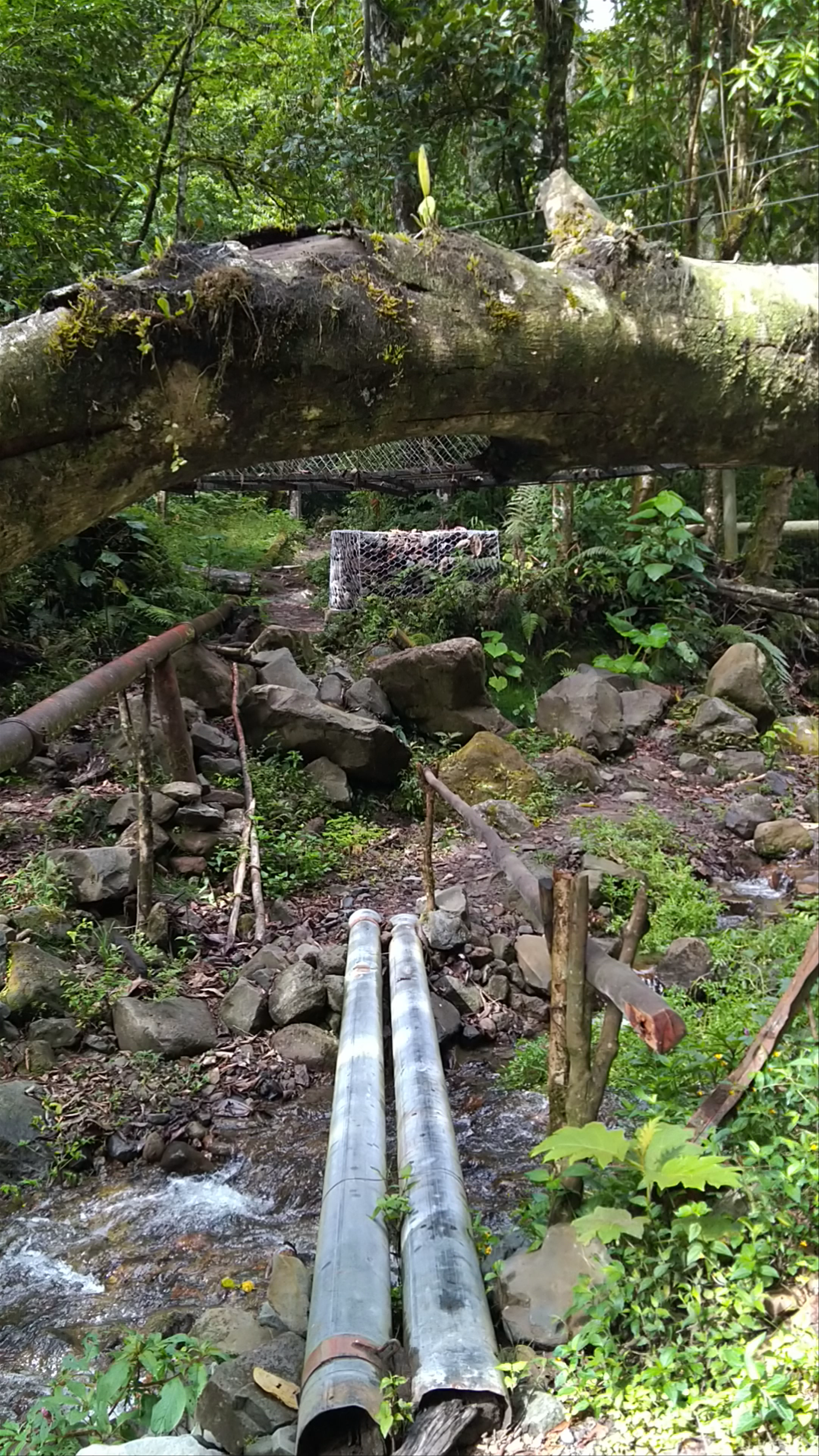 Pipeline Trail (Waterfall)