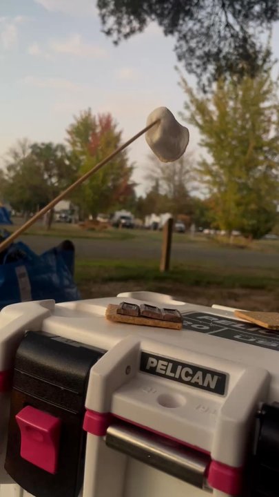Albany / Corvallis KOA - Gravel drive, grass site, clearly marked fire pits, fishing in the Willamette because there's not a safe option at the Calapooia - Campgrounds Near Me - Albany, Oregon