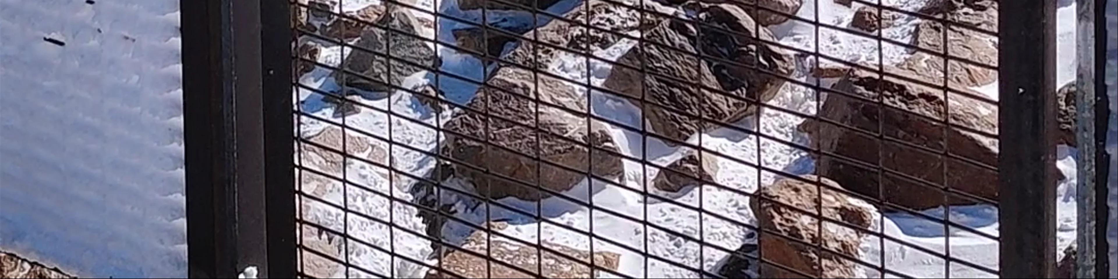 Pikes Peak Cog Railway