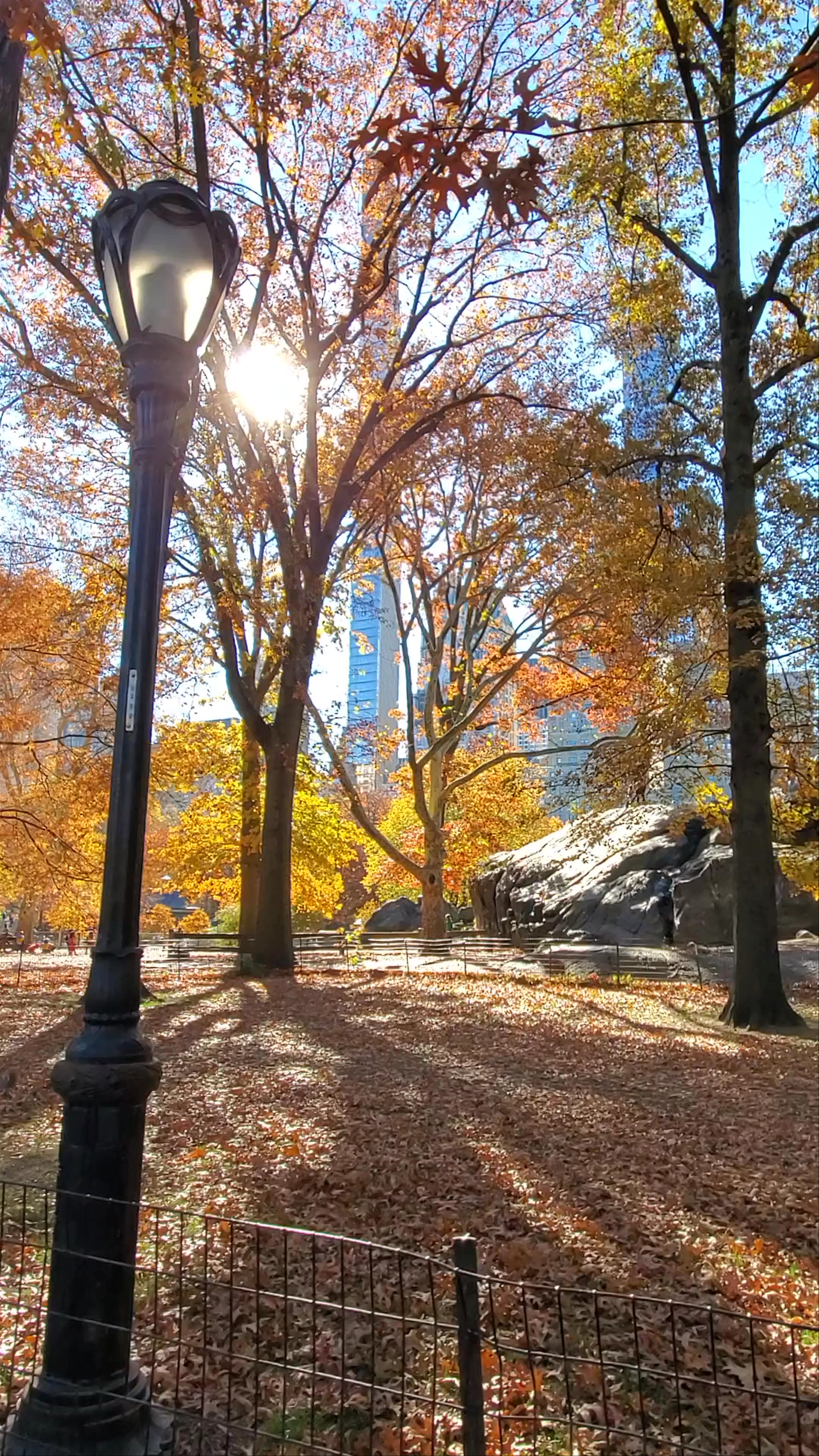 Central Park, New York, NY, USA