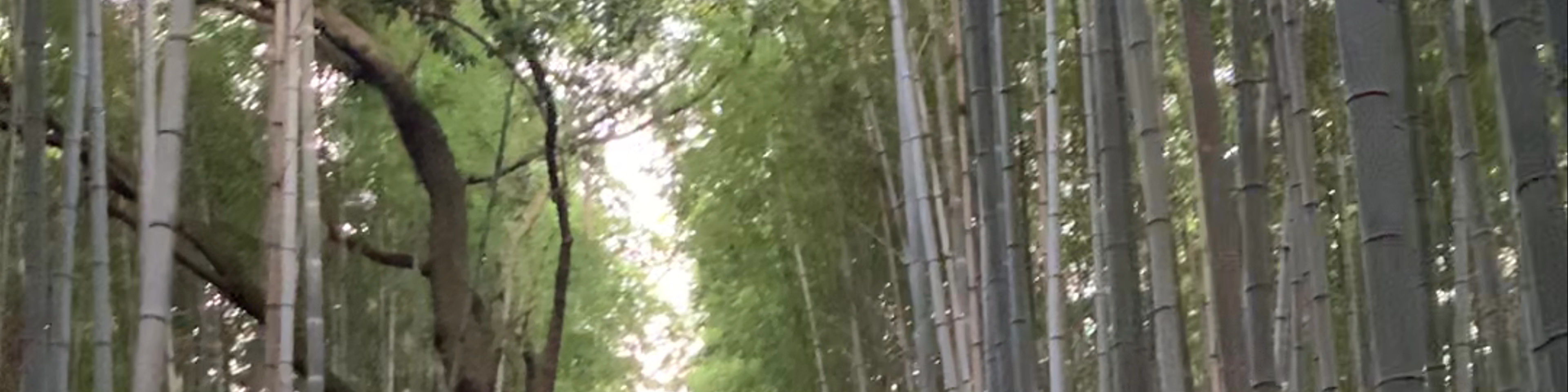 Kyoto