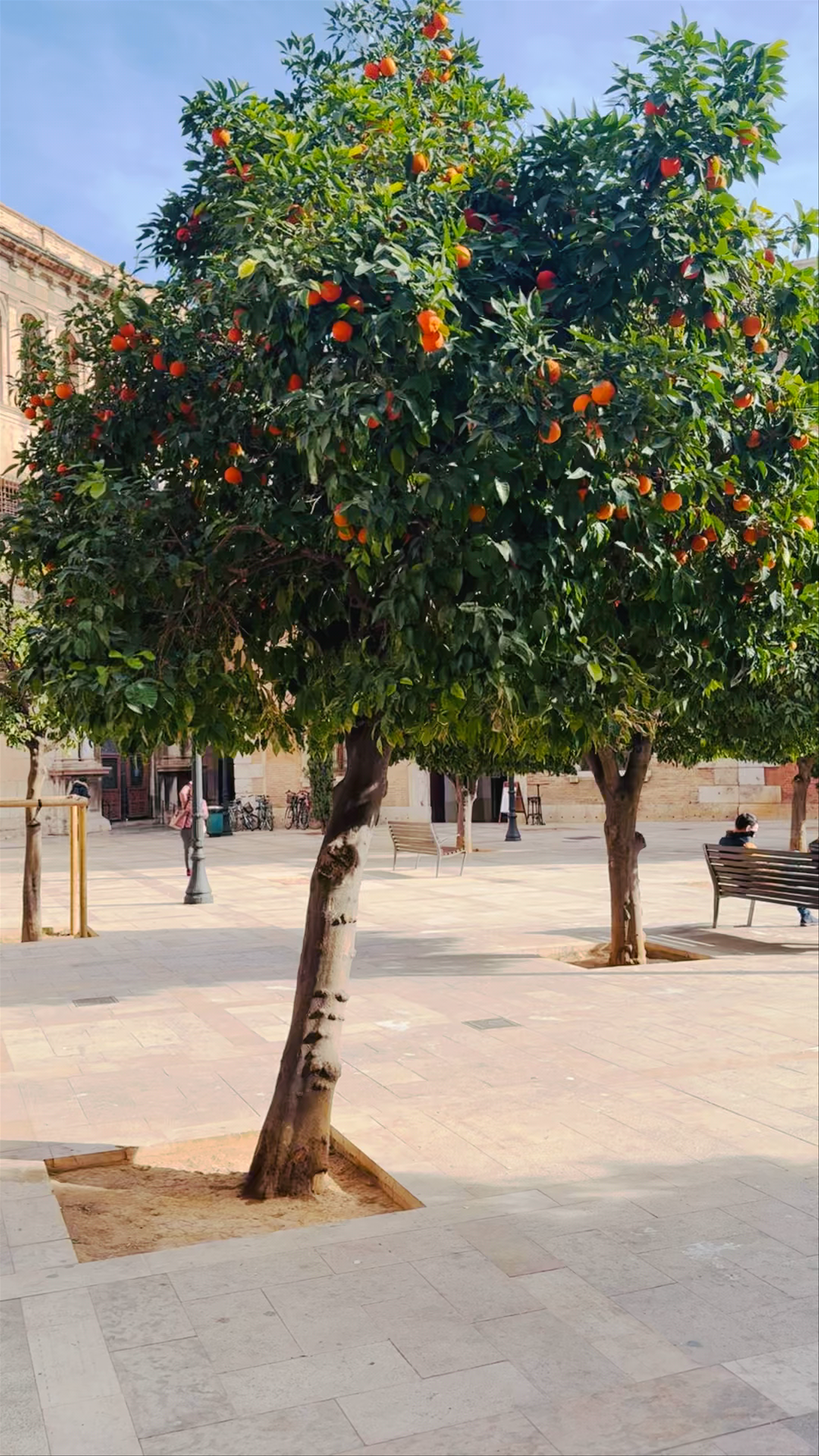 Plaça del Col-legi del Patriarca
