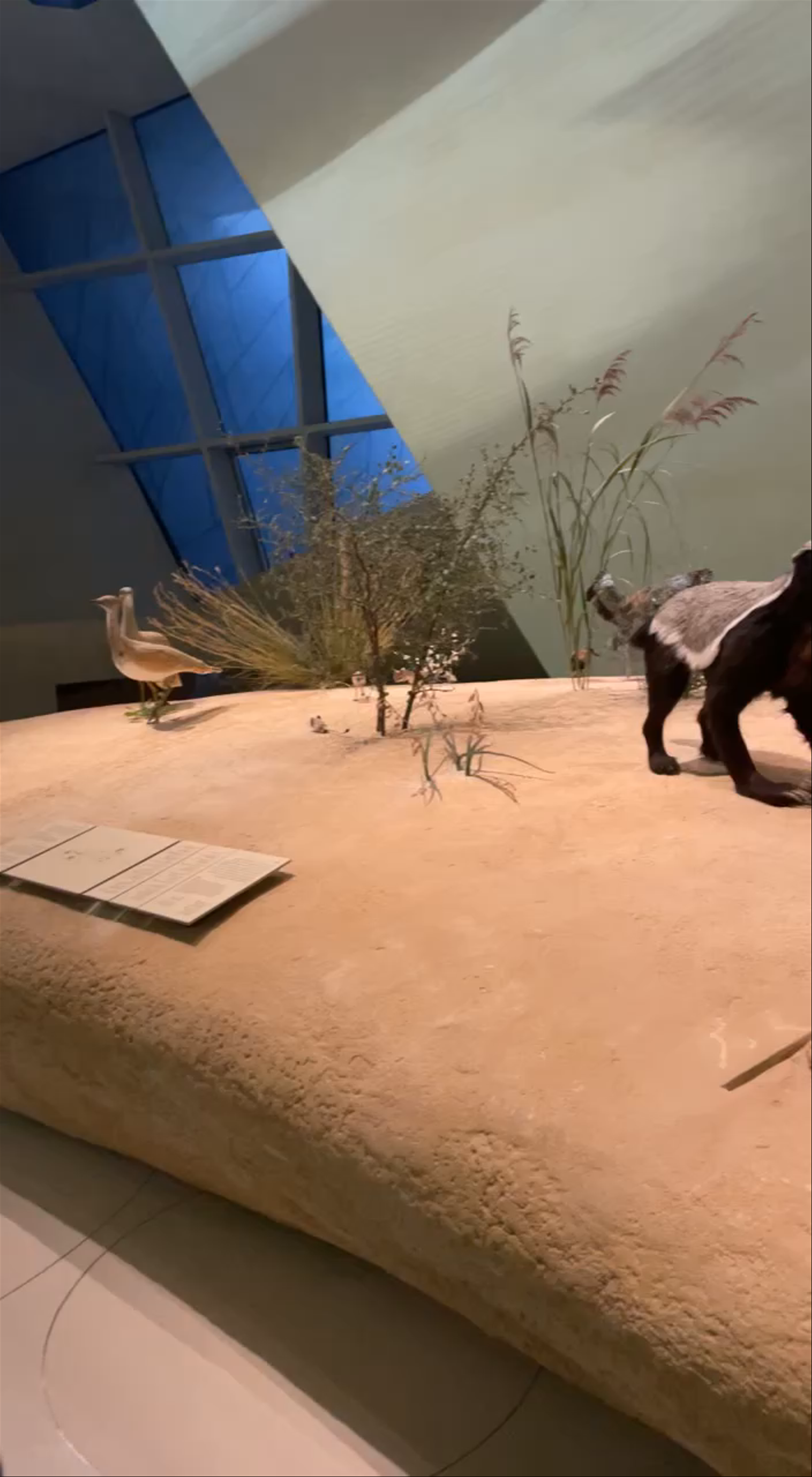 National Museum of Qatar