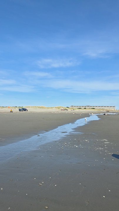 Ocean City State Park - Parks Near Me - Hoquiam, Washington