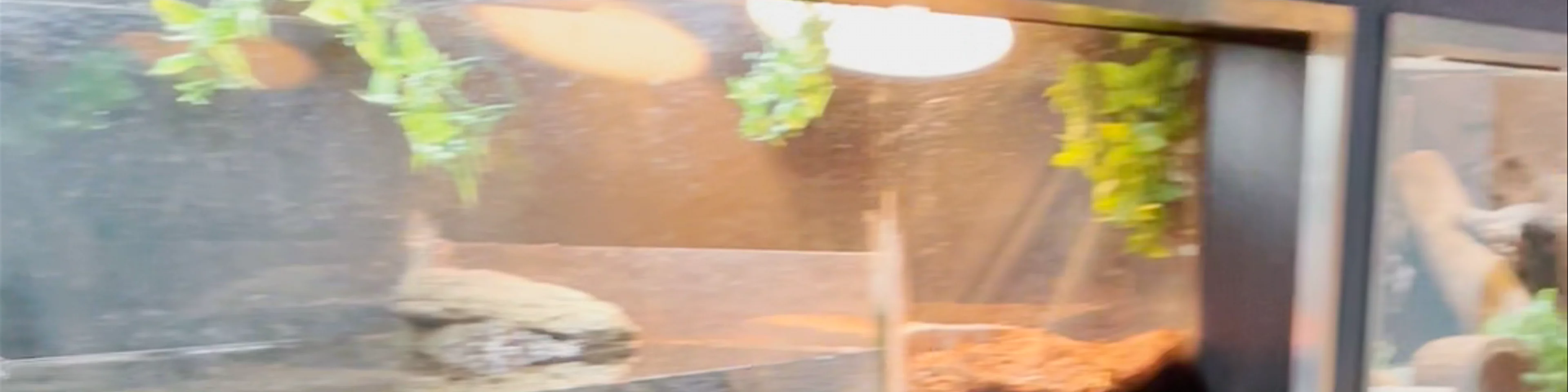 Ecomuseum Zoo