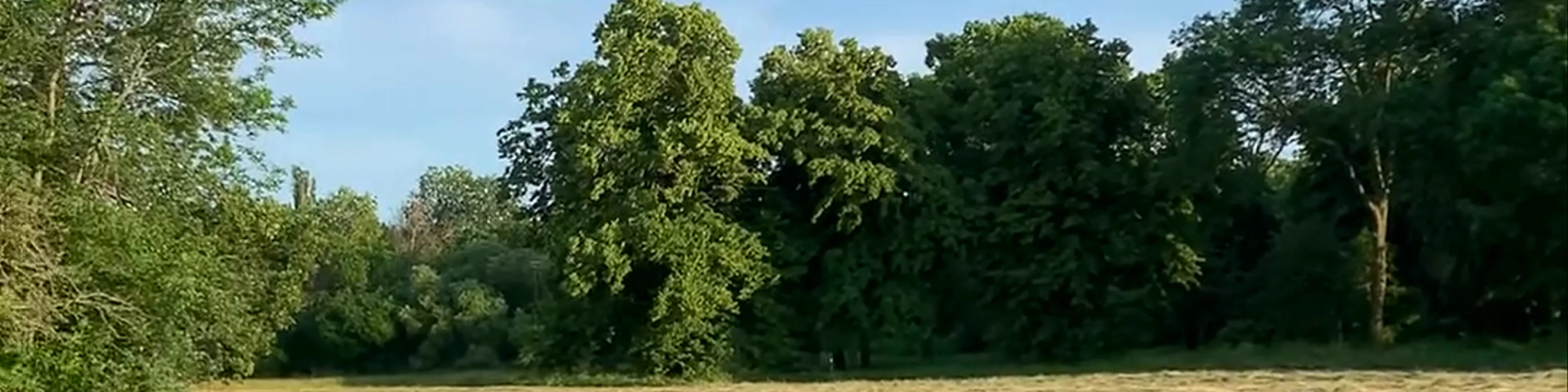 Stadtpark