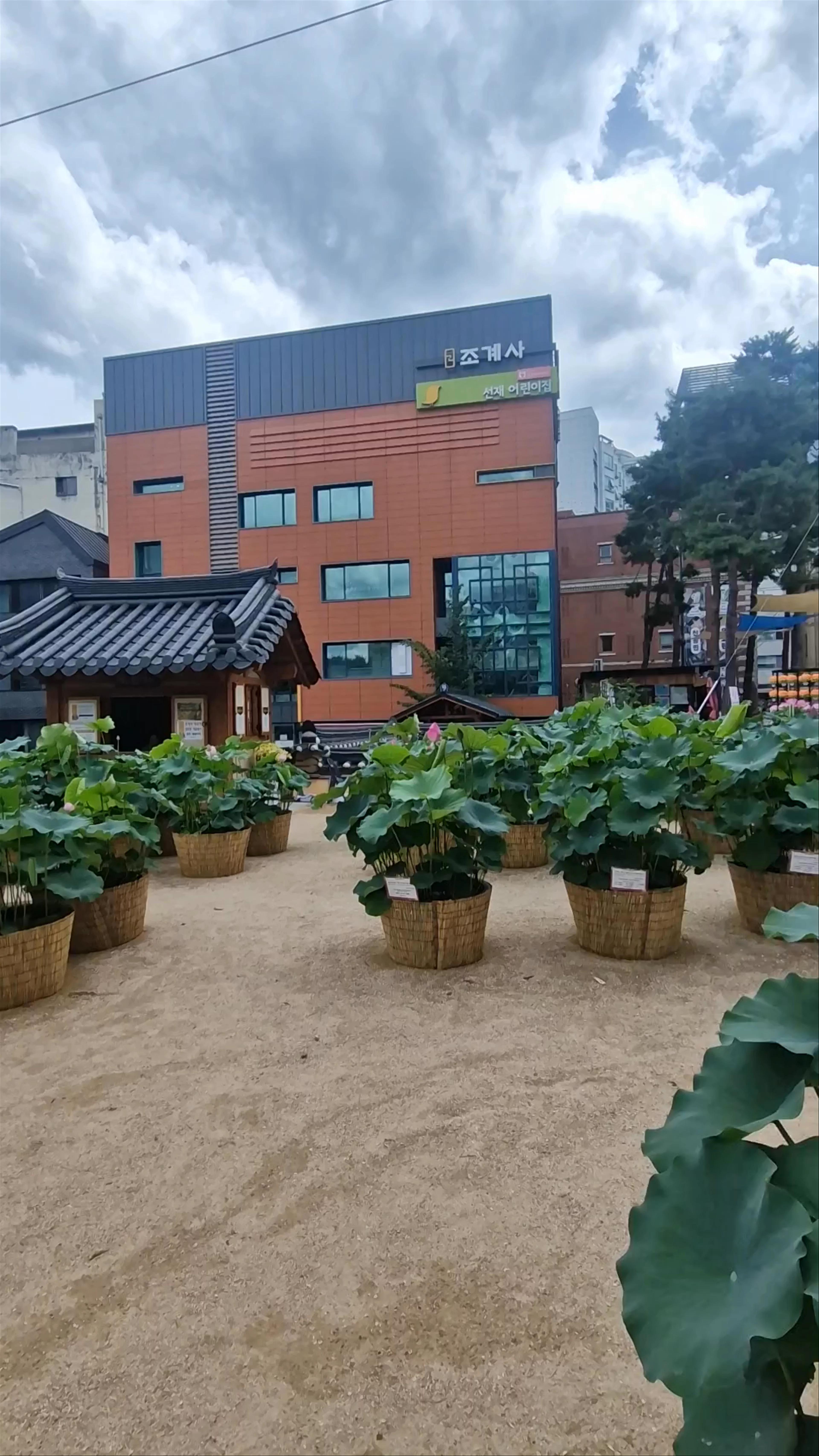 Jogyesa Temple