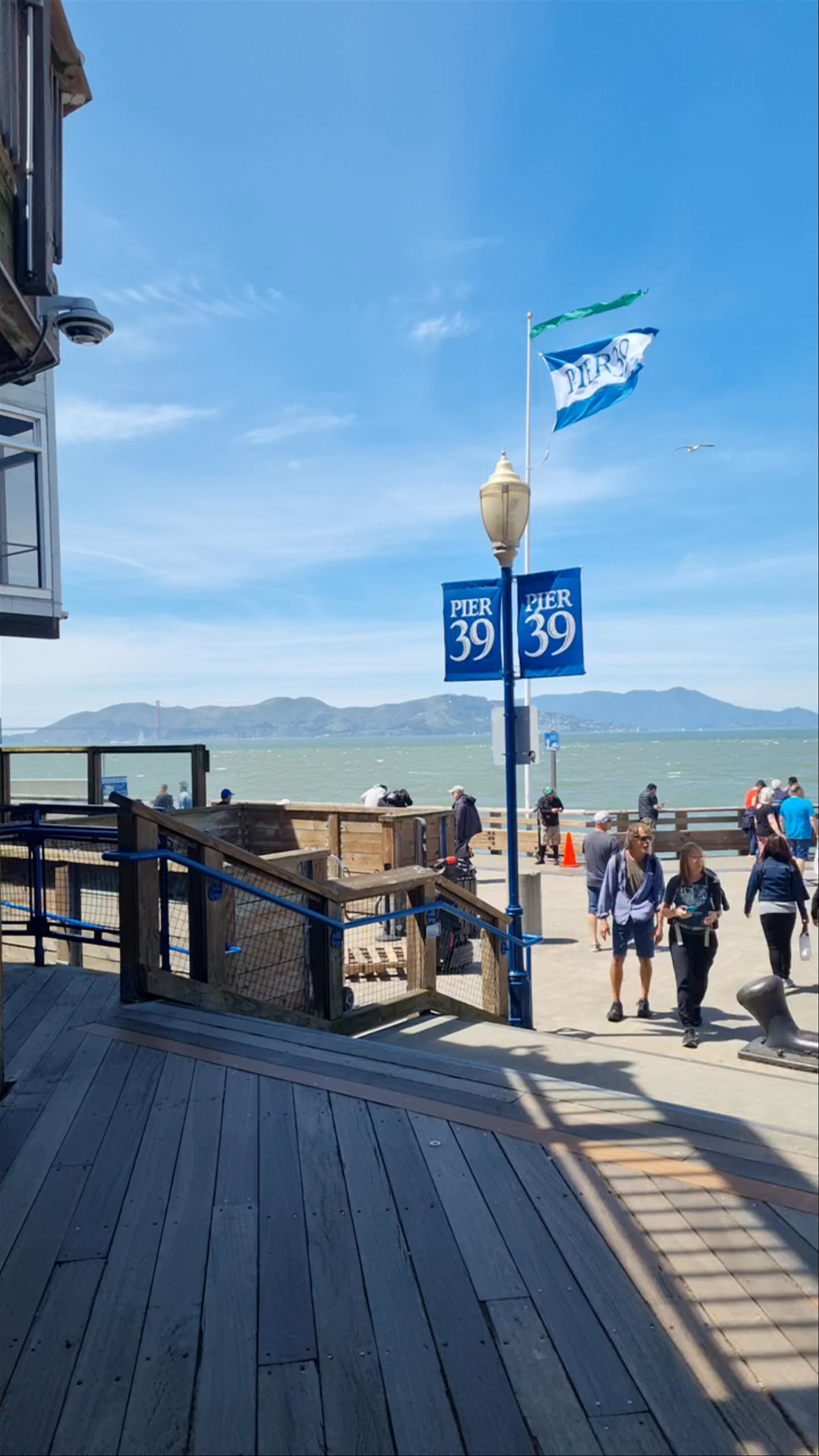 Hearts in San Francisco