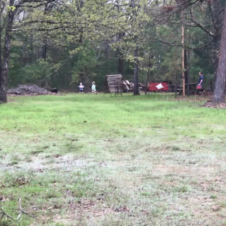Dragonhead Retreat - Our 5 acre meadow with places to roam: The  circle, 2 picnic areas, hammock hangout, alter glenn & 2 porch swings. - Vacation Rentals Near Me - Ben Wheeler, Texas