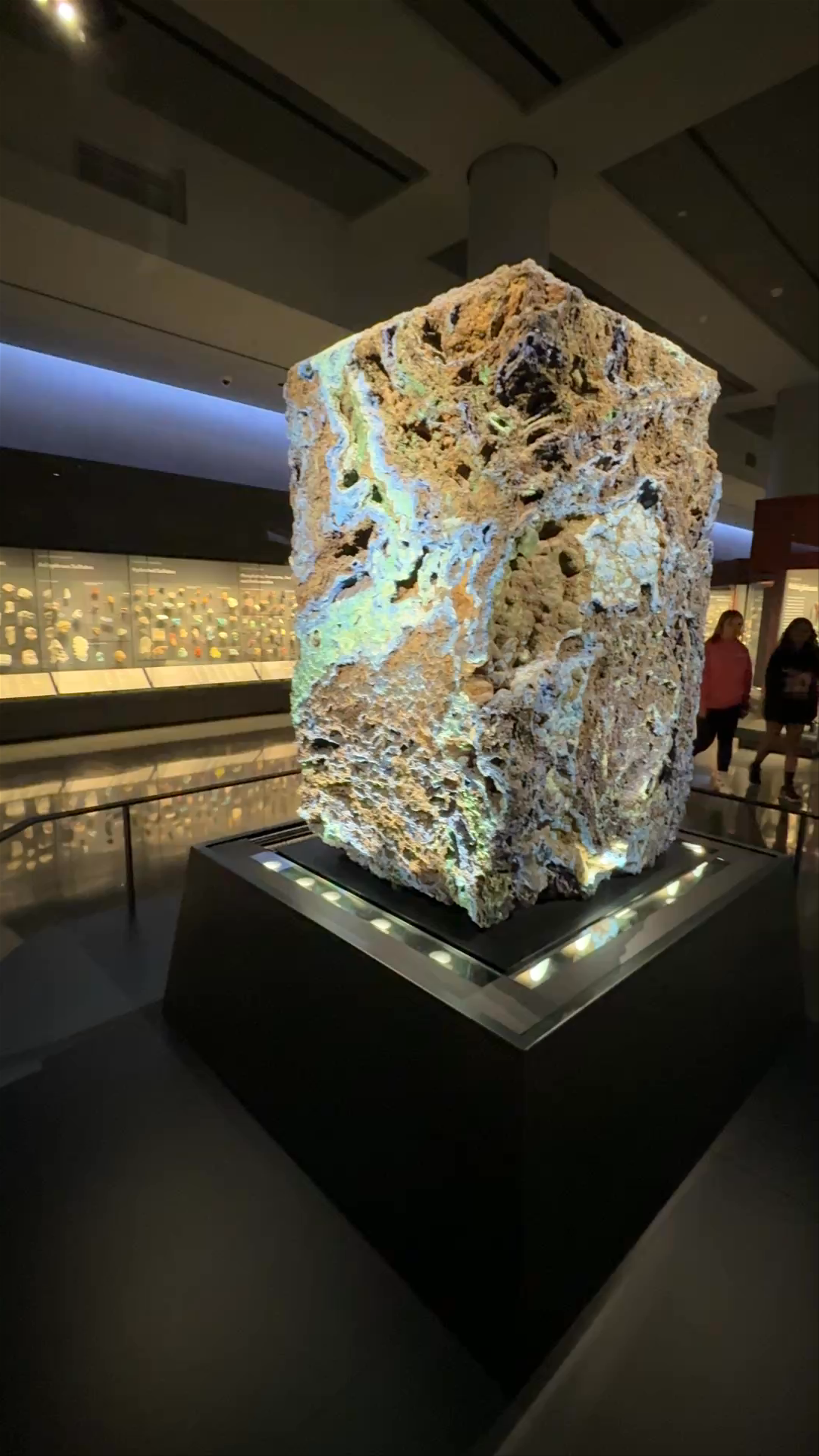 American Museum of Natural History