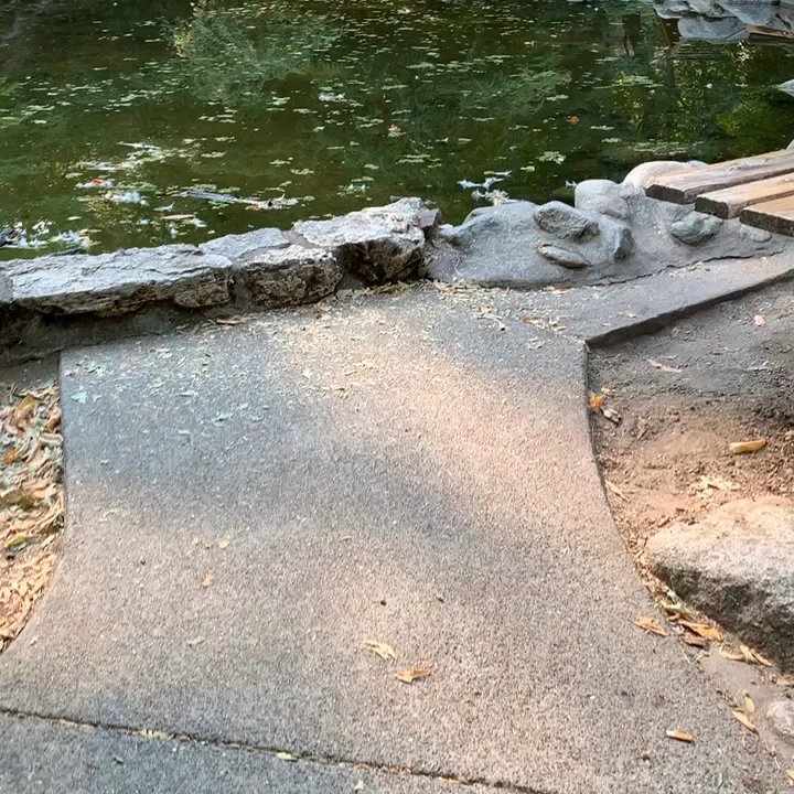 Lithia Park - Local talent - Parks Near Me - Ashland, Oregon