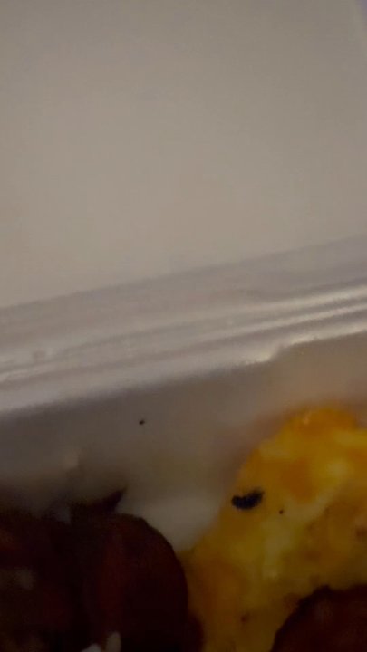 Bacon Diner - Deed fly in my my cheese eggs - Breakfast & Brunch Near Me - Bluffton, South Carolina