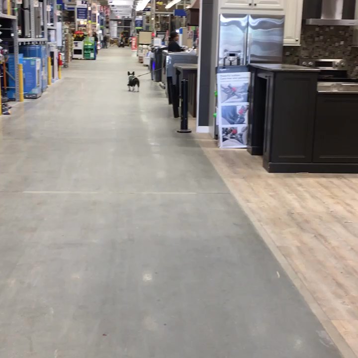 Lowe's Home Improvement - Inside! Animal friendly here - Hardware Stores Near Me - Middletown, New York