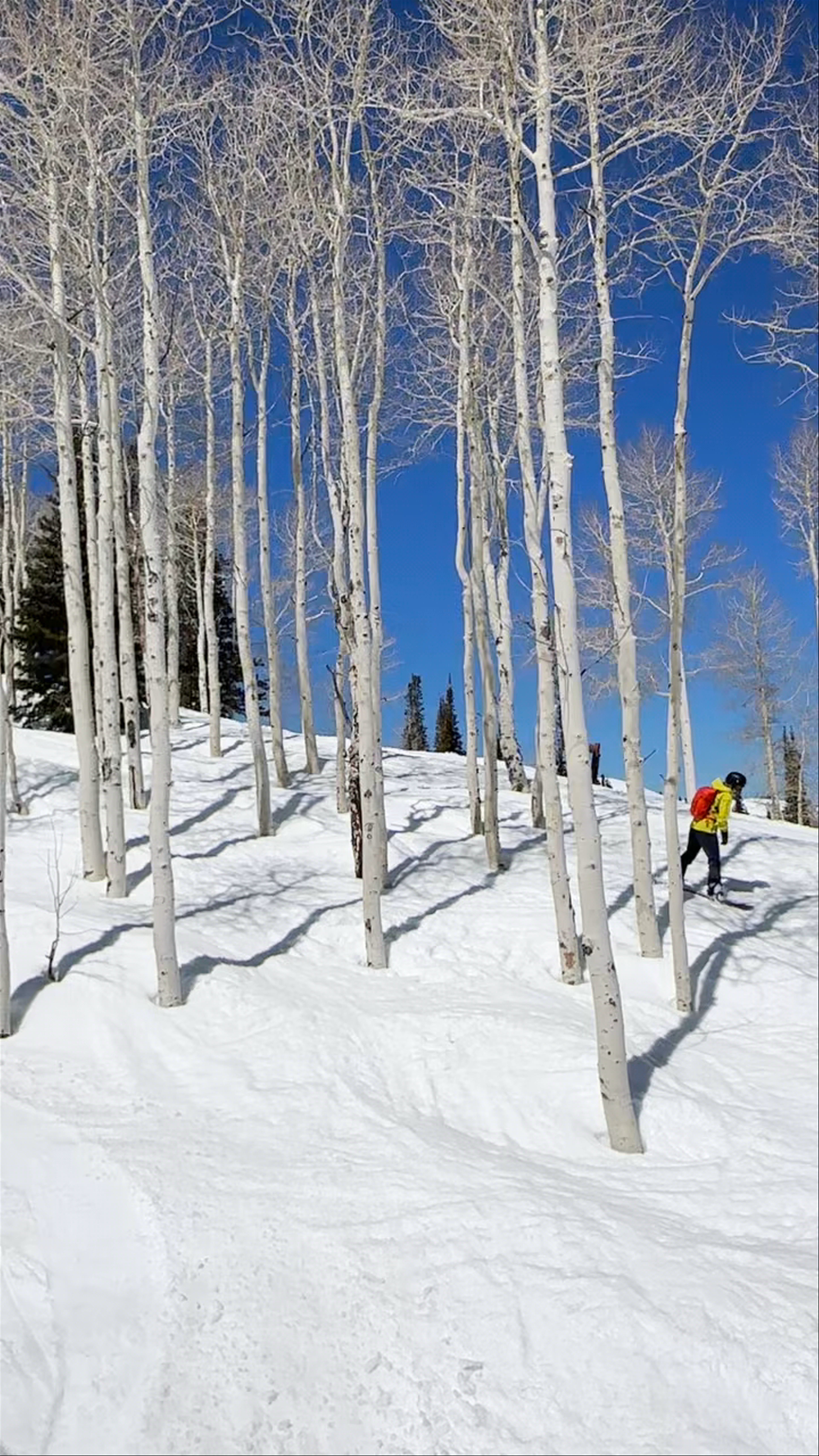 Park City Mountain Resort