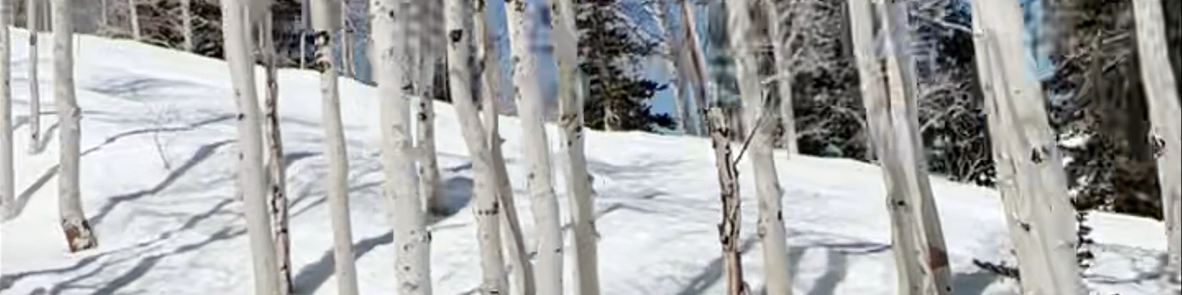 Park City Mountain Resort