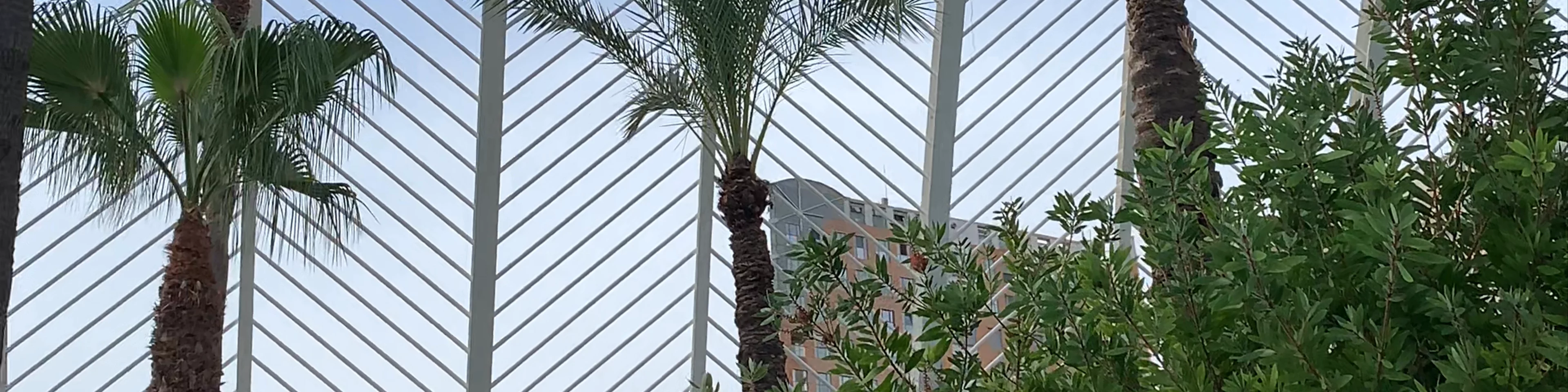 Ciudad de las Artes y las Ciencias
