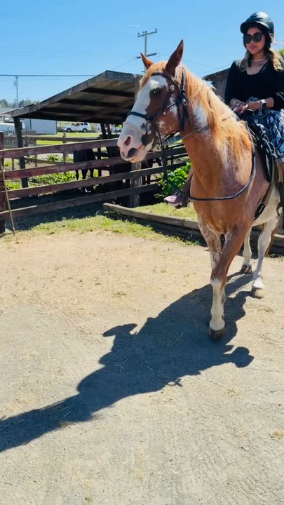 Ricochet Ridge Ranch - Had an amazing birthday yesterday and got to experience the horseback riding!! I can't believe I'm able to mark this off my bucket list. - Tours Near Me - Fort Bragg, California
