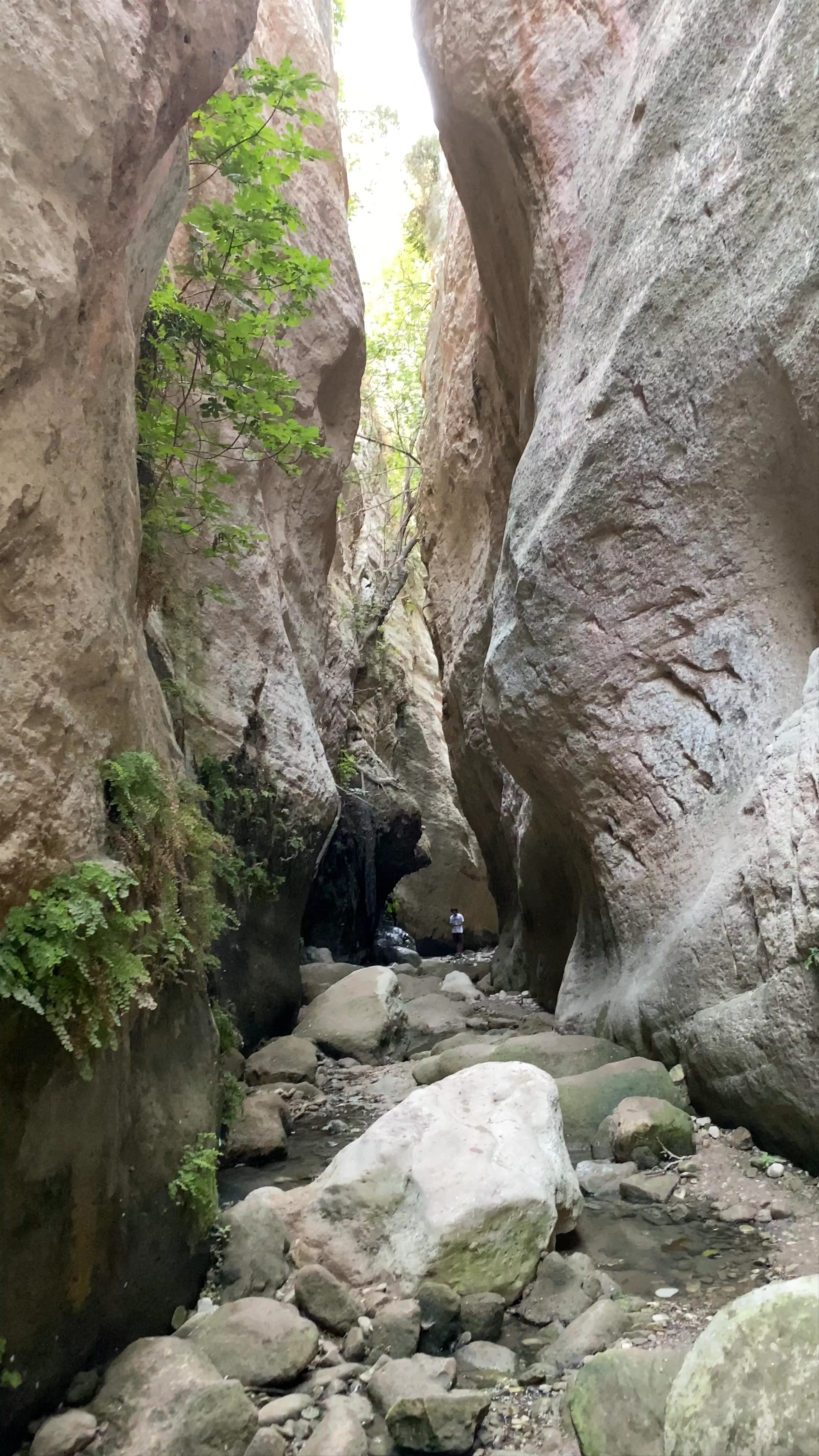 Avakas Gorge