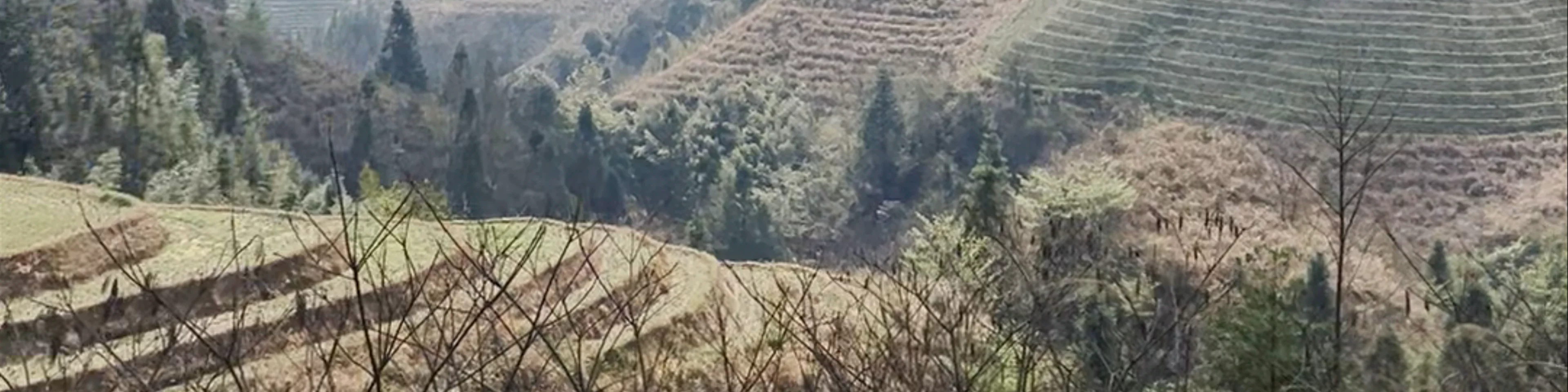 Longji Rice Terrace Scenic Spot