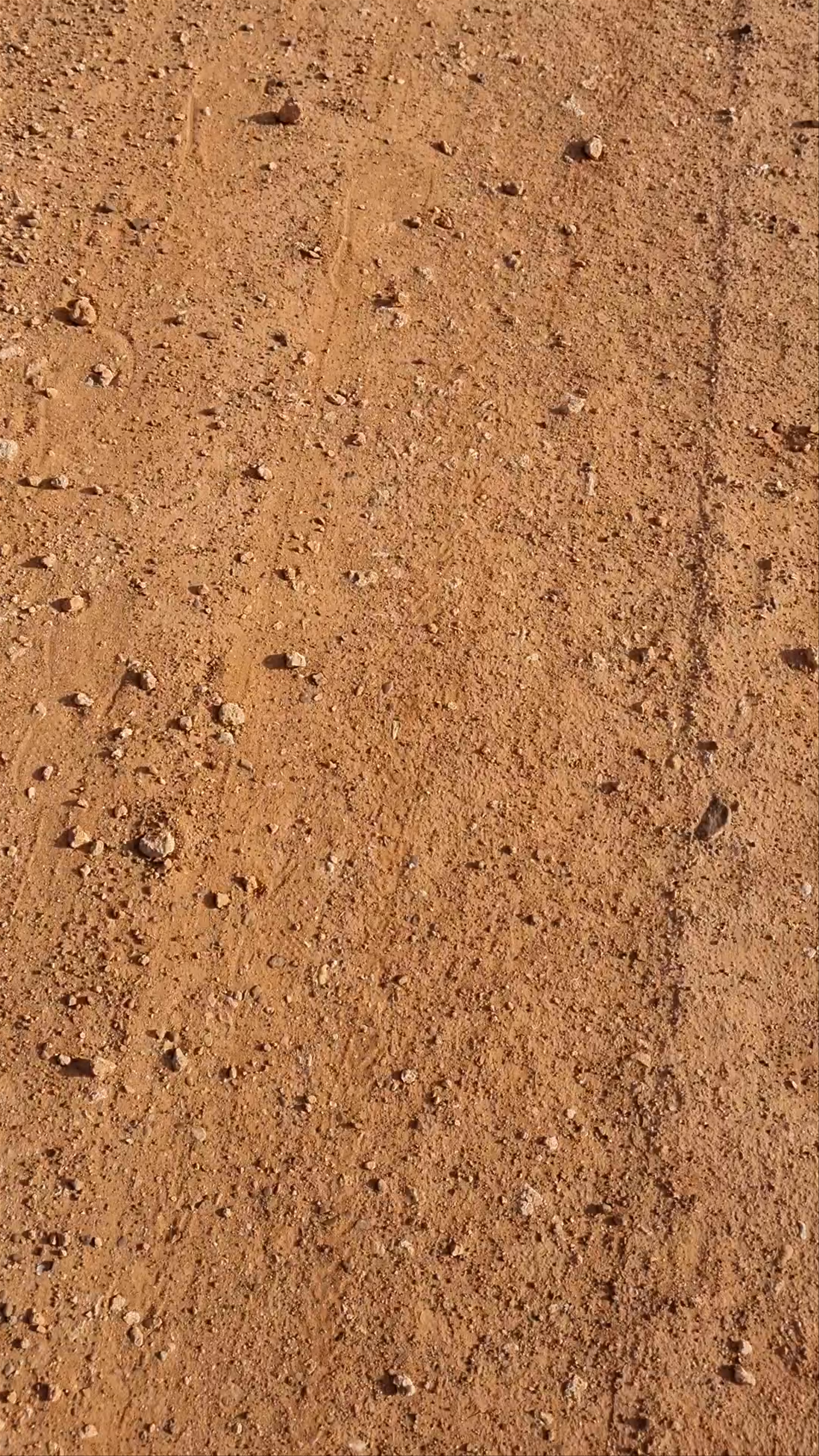 Camping Ground Nr Wadi Al Arbeieen and Dayqah Dam