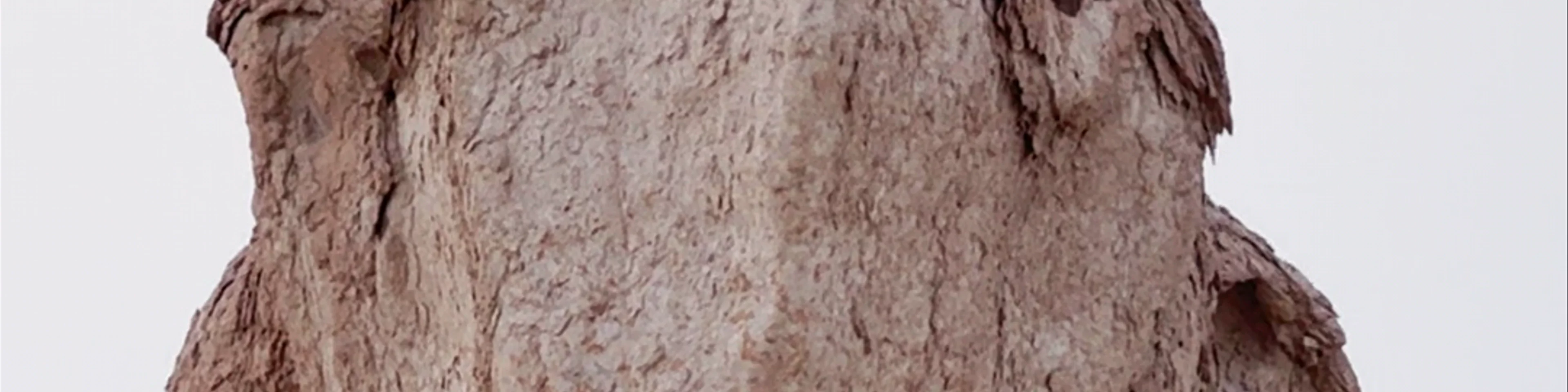 Al-Qara Hill