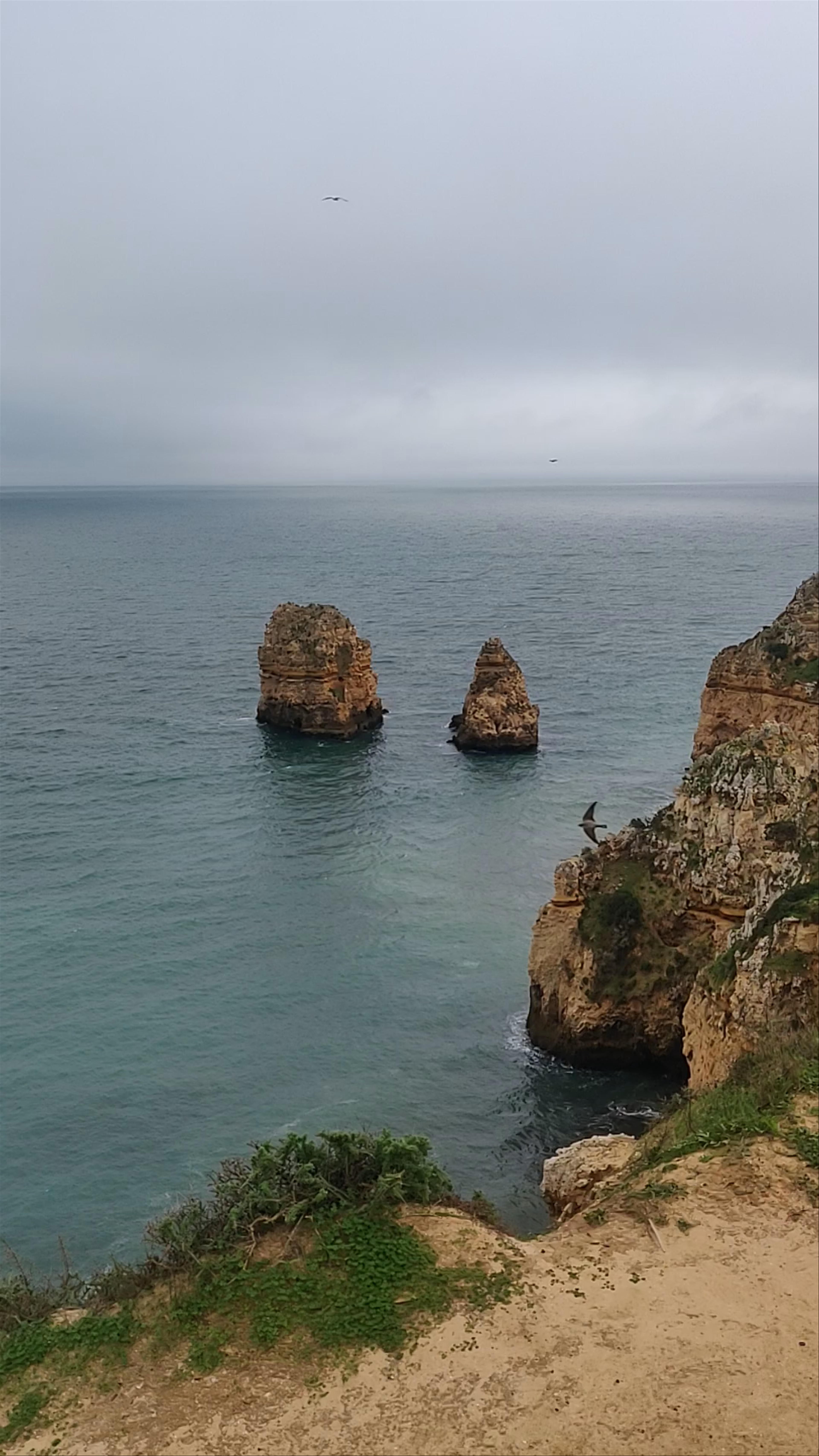 Ponta da Piedade