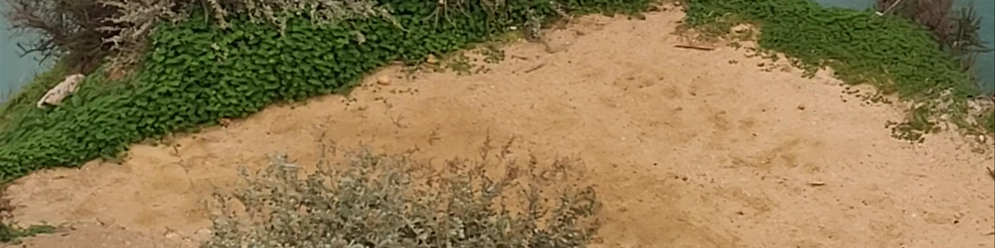 Ponta da Piedade