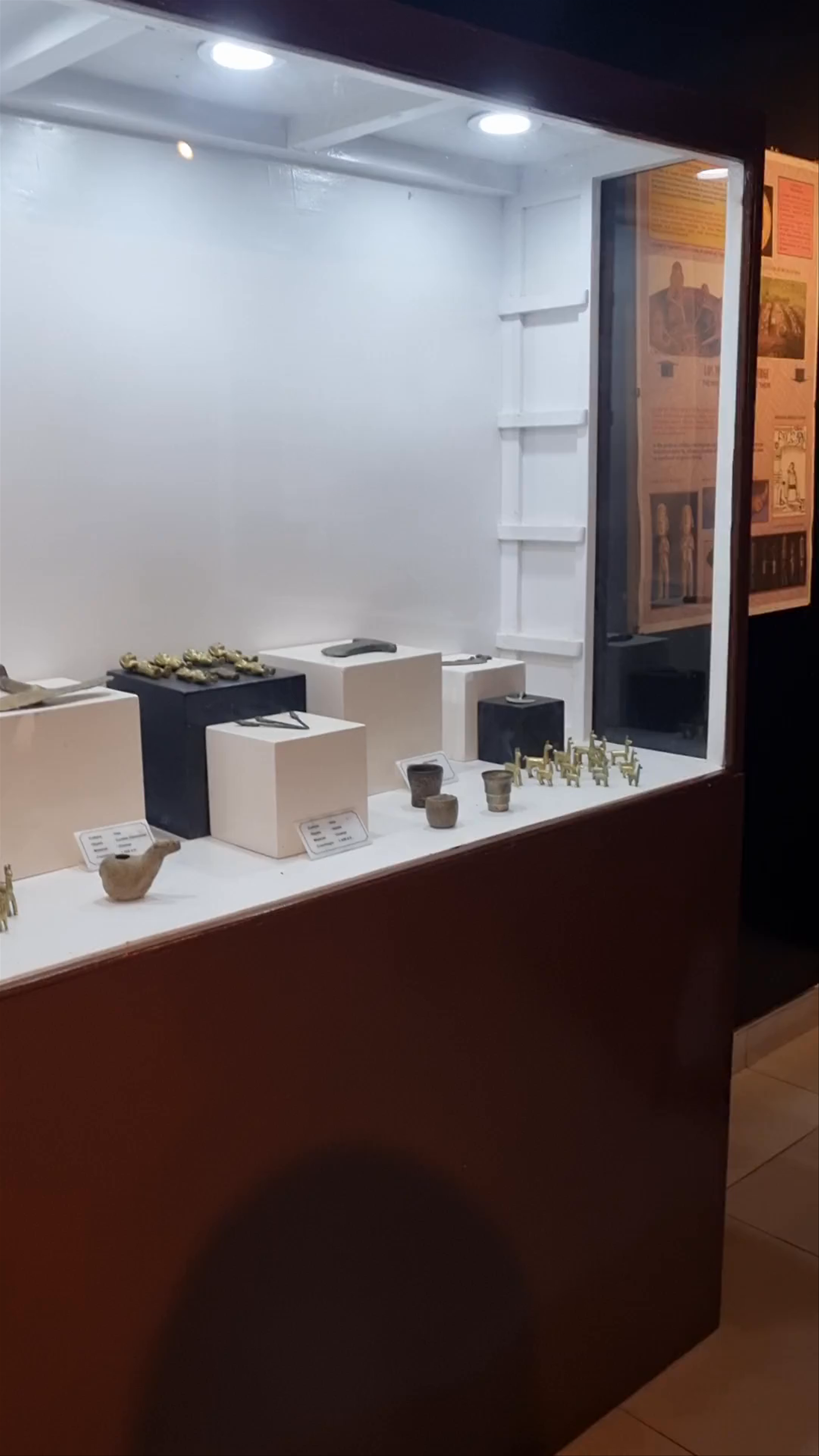 Exploring Museo de Sitio Qorikancha: Ancient Artifacts & Elongated Skulls in Cusco, Peru