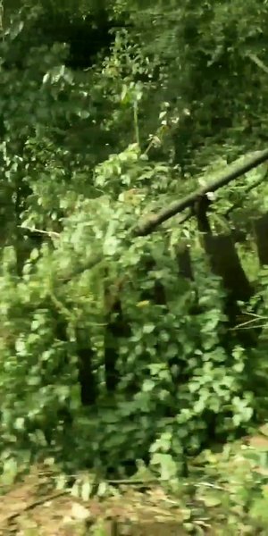 Photo of View From Train, Dud