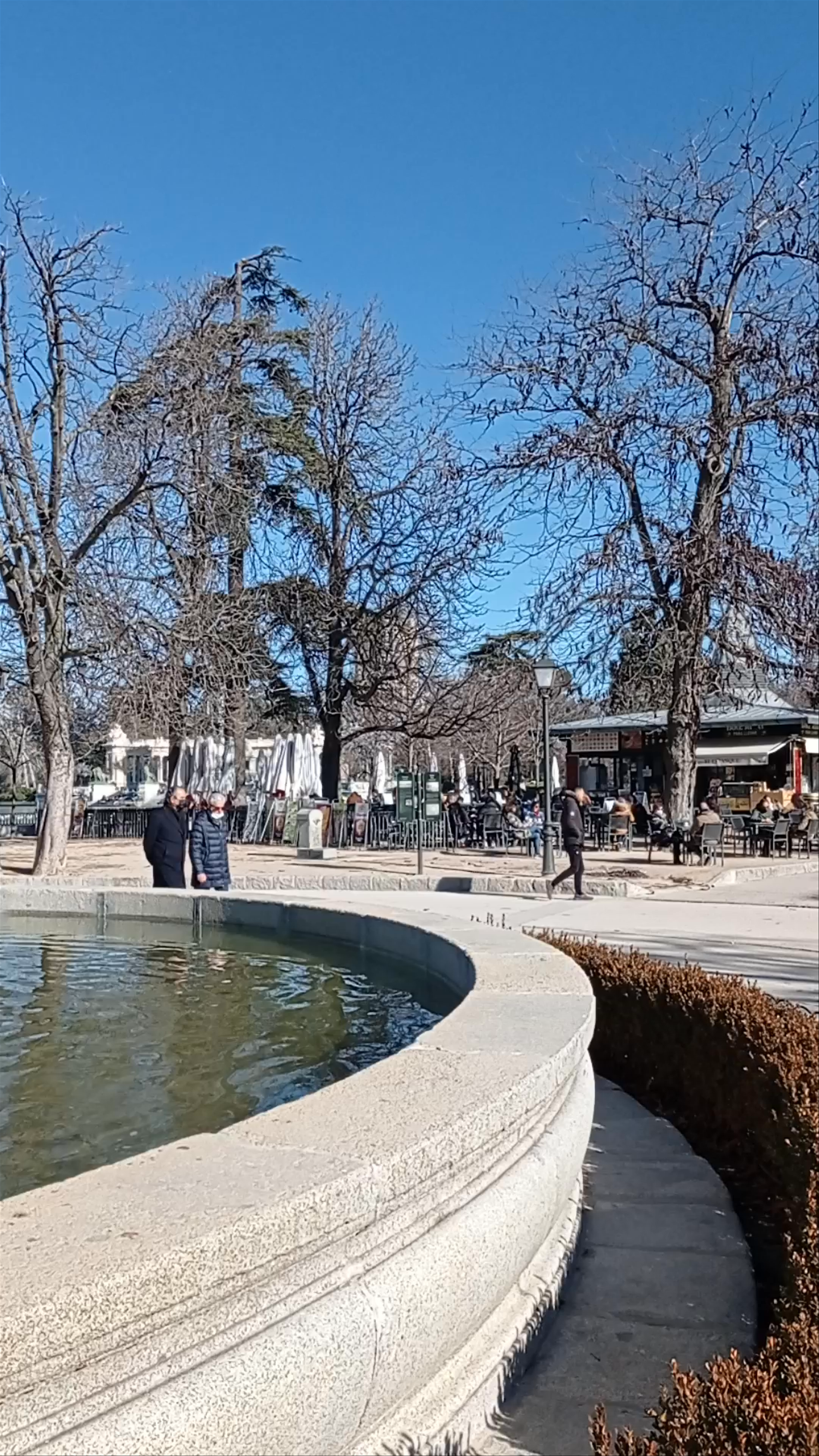 Peaceful Moments at Fuente de la Alcachofa, Parque del Retiro, Madrid