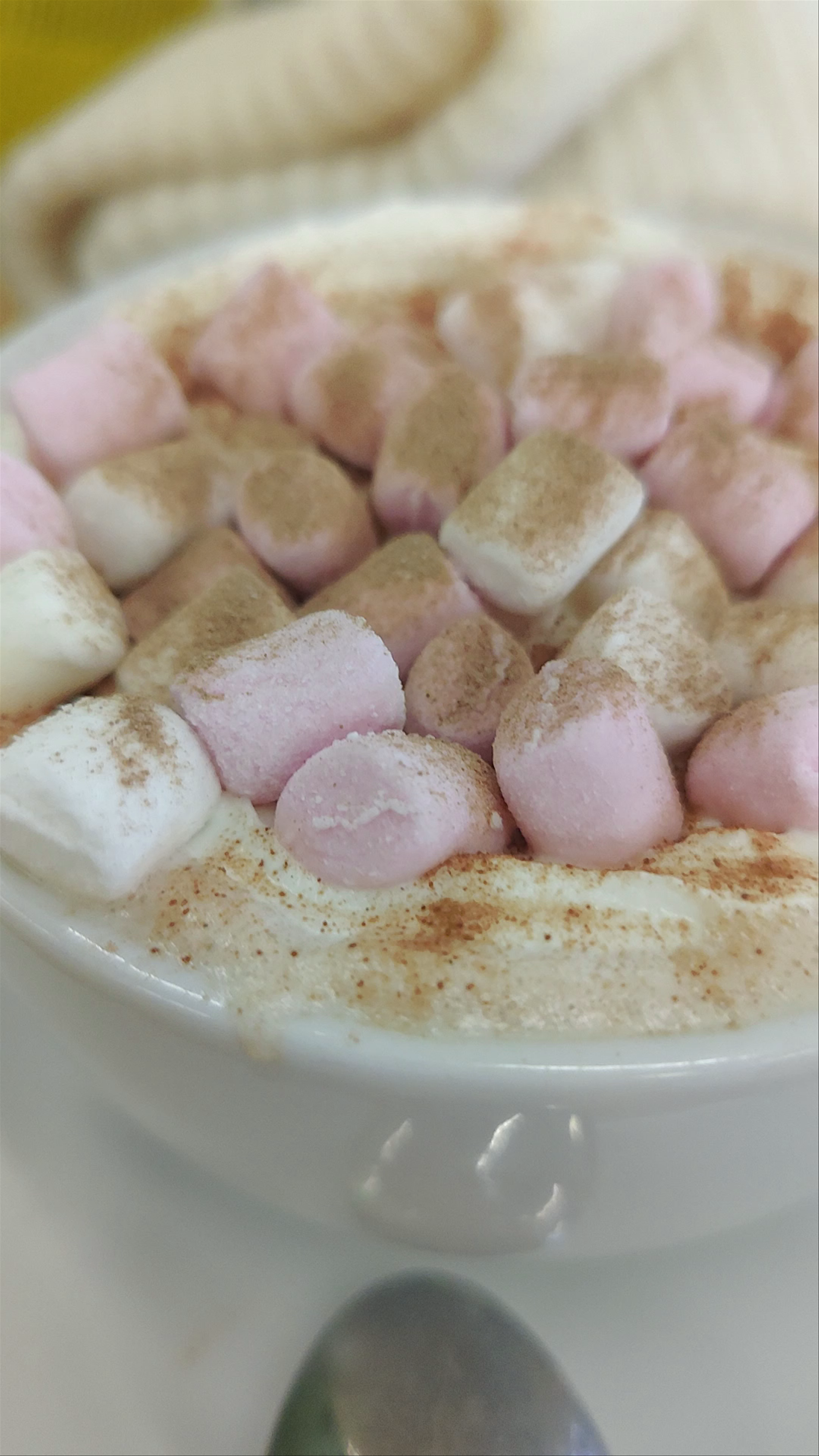 Cozy Moments at Caffi Siabod in Betws-y-Coed, Wales