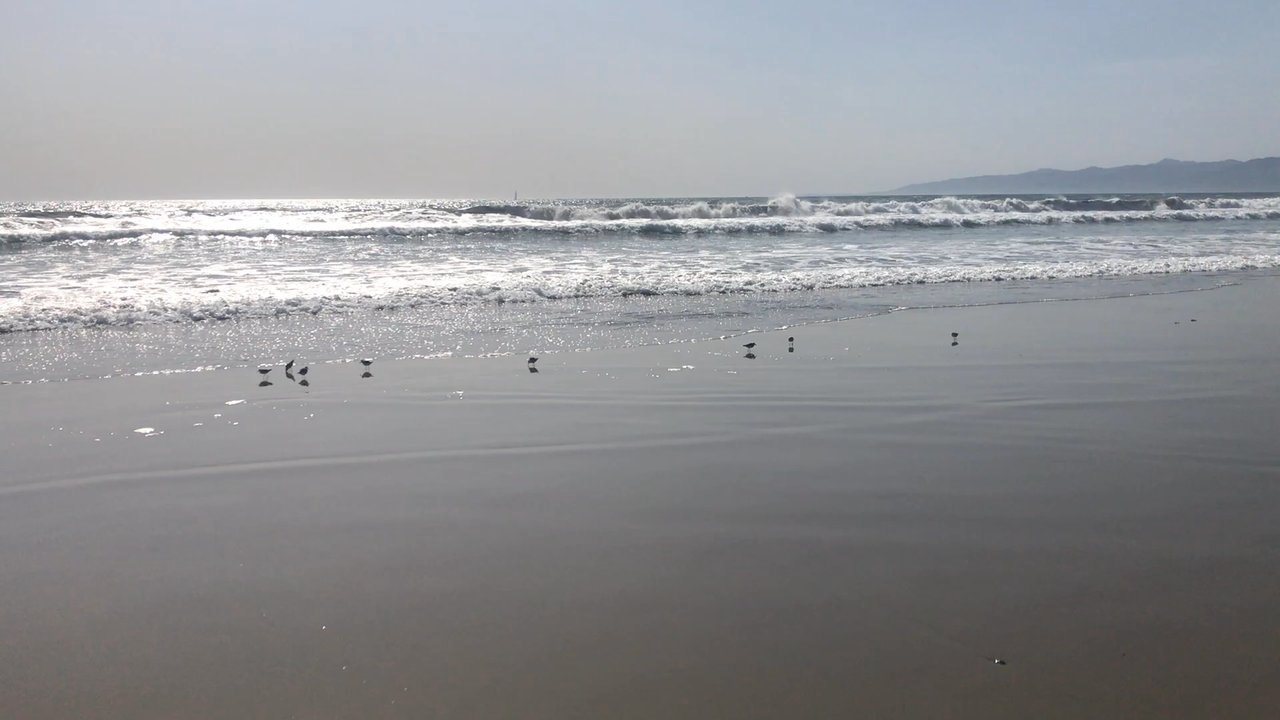 Video thumbnail 13 more videos