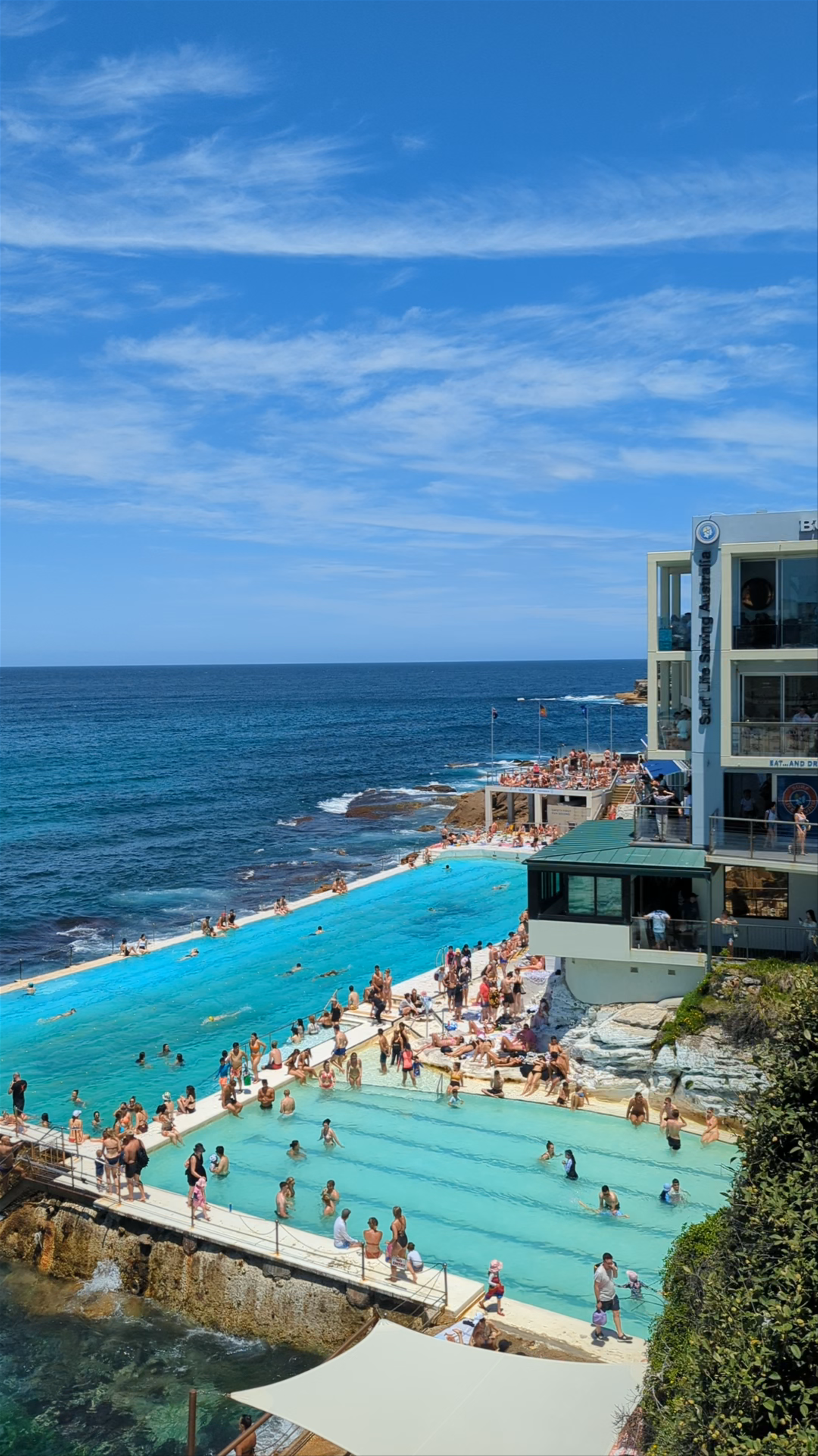 Bondi Icebergs Swimming CLUB