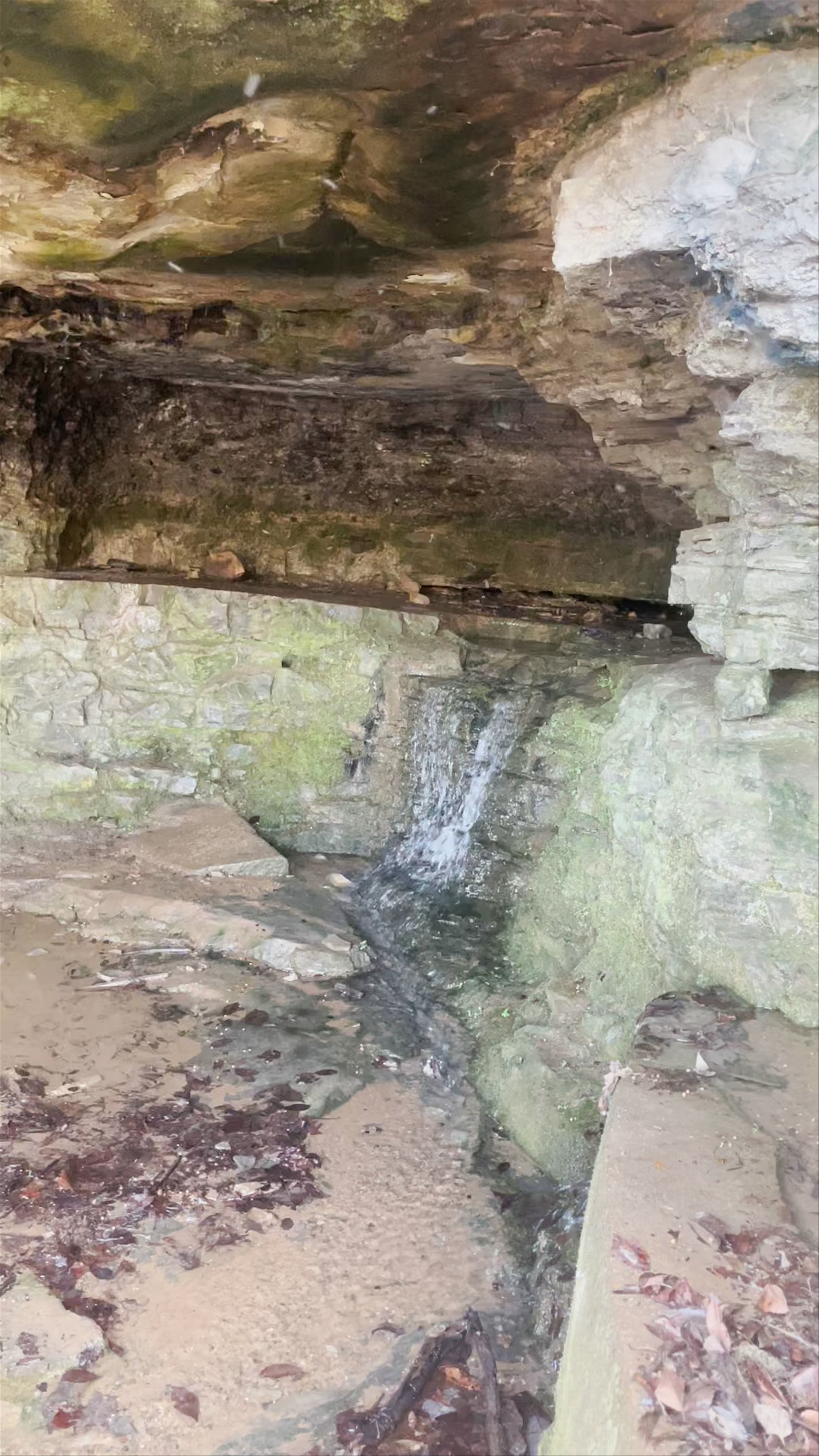 Shelby Bottoms Nature Center: Hidden Waterfall Retreat in Nashville