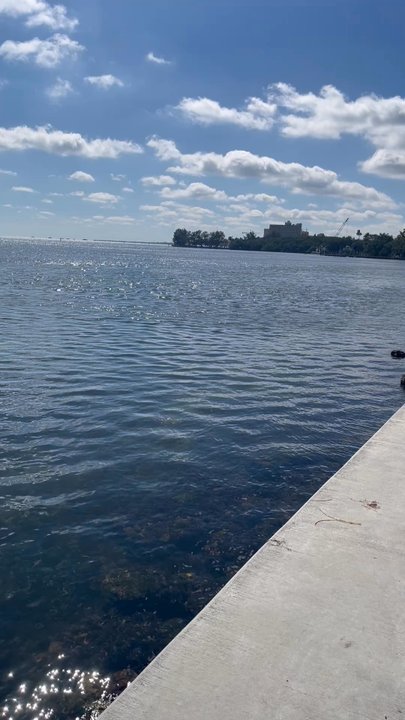 Alice C. Wainwright Park - Beautiful view and park - Parks Near Me - Miami, Florida