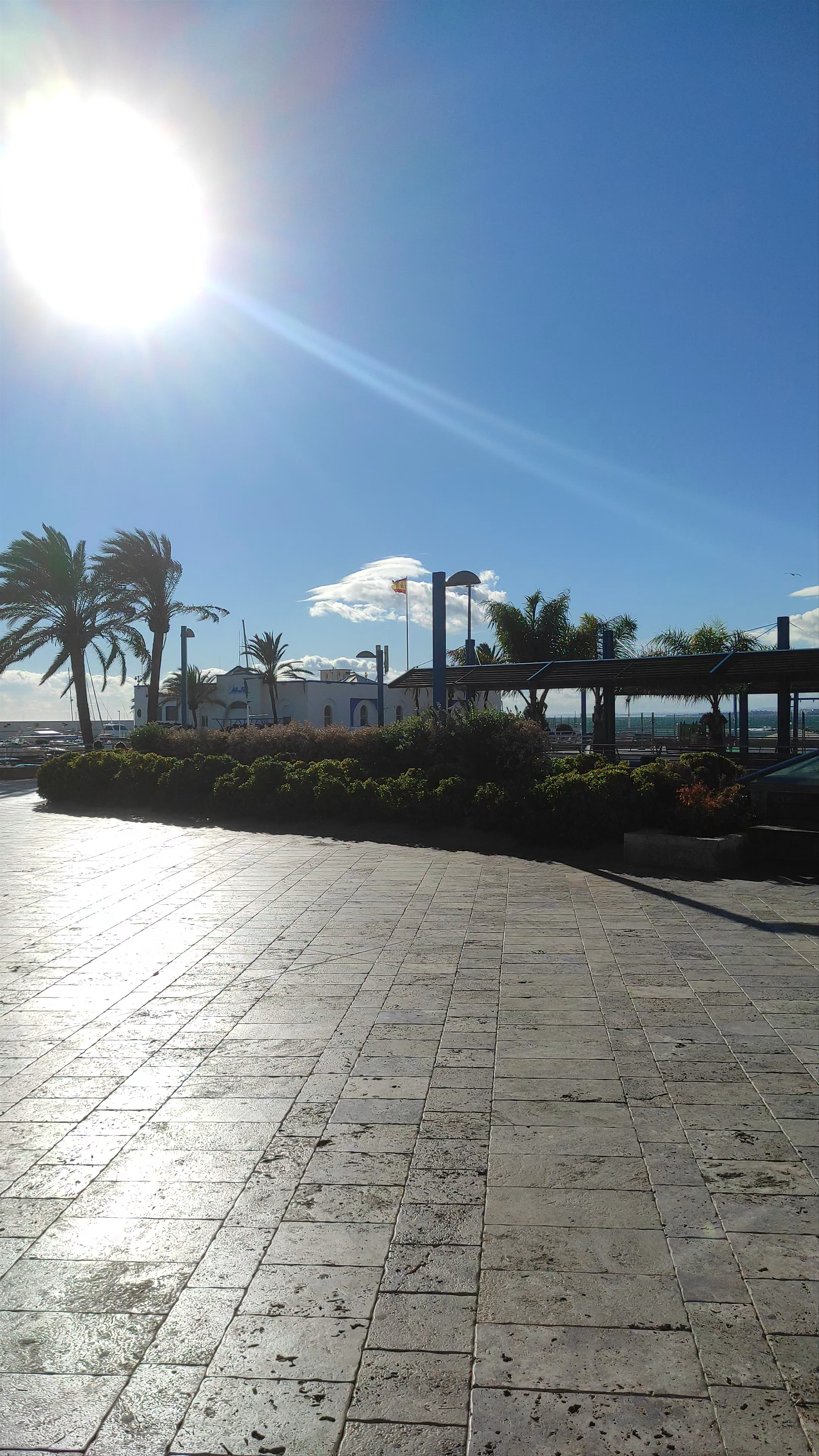 Bright Sunny Walk at Puerto Deportivo de Marbella, Spain