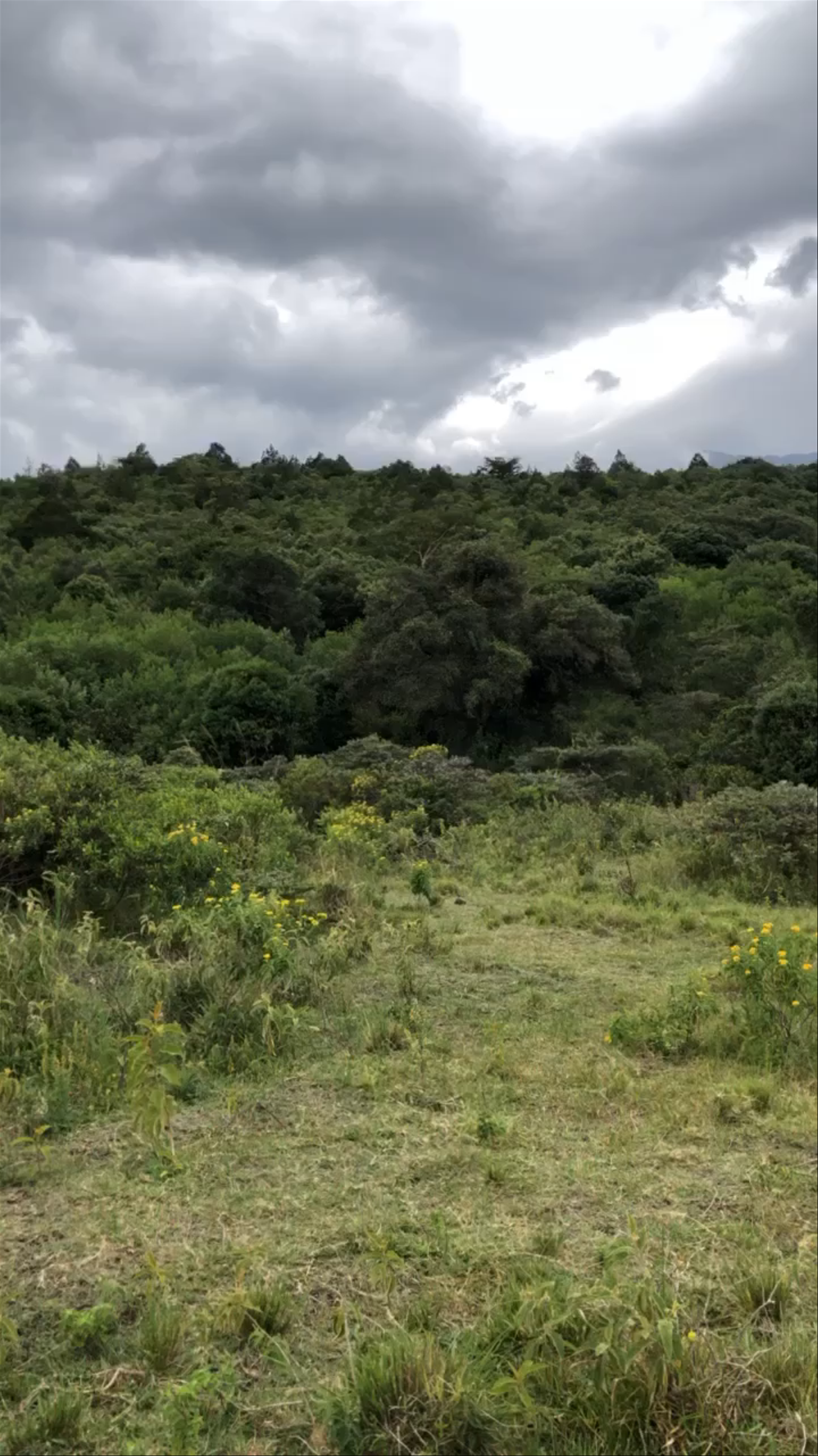 Arusha National Park